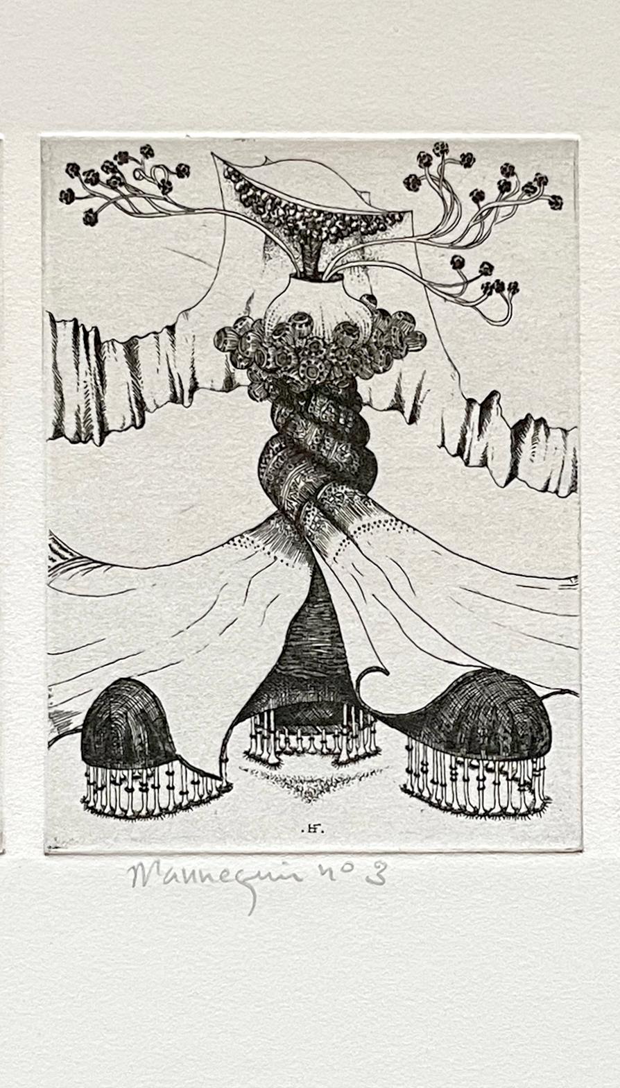 Signé, titré et numéroté au crayon, de l'édition de 40. Personnage surréaliste et imaginaire avec des robes flottantes.

François Houtin est né à Craon en Mayenne, en France, en 1950. Il vit et travaille à Paris depuis 1971. Il a suivi une formation