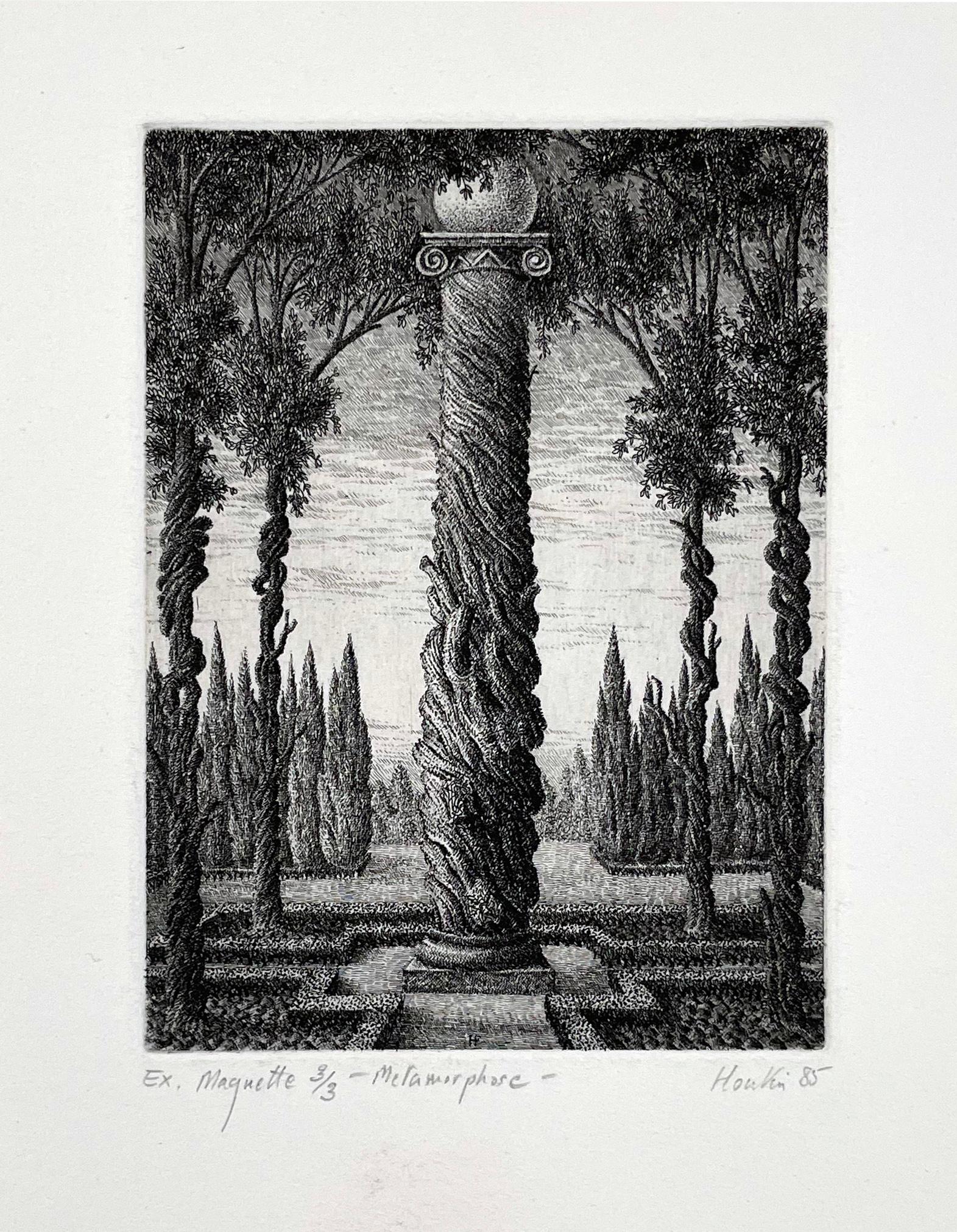 Metamorphose - Print by François Houtin