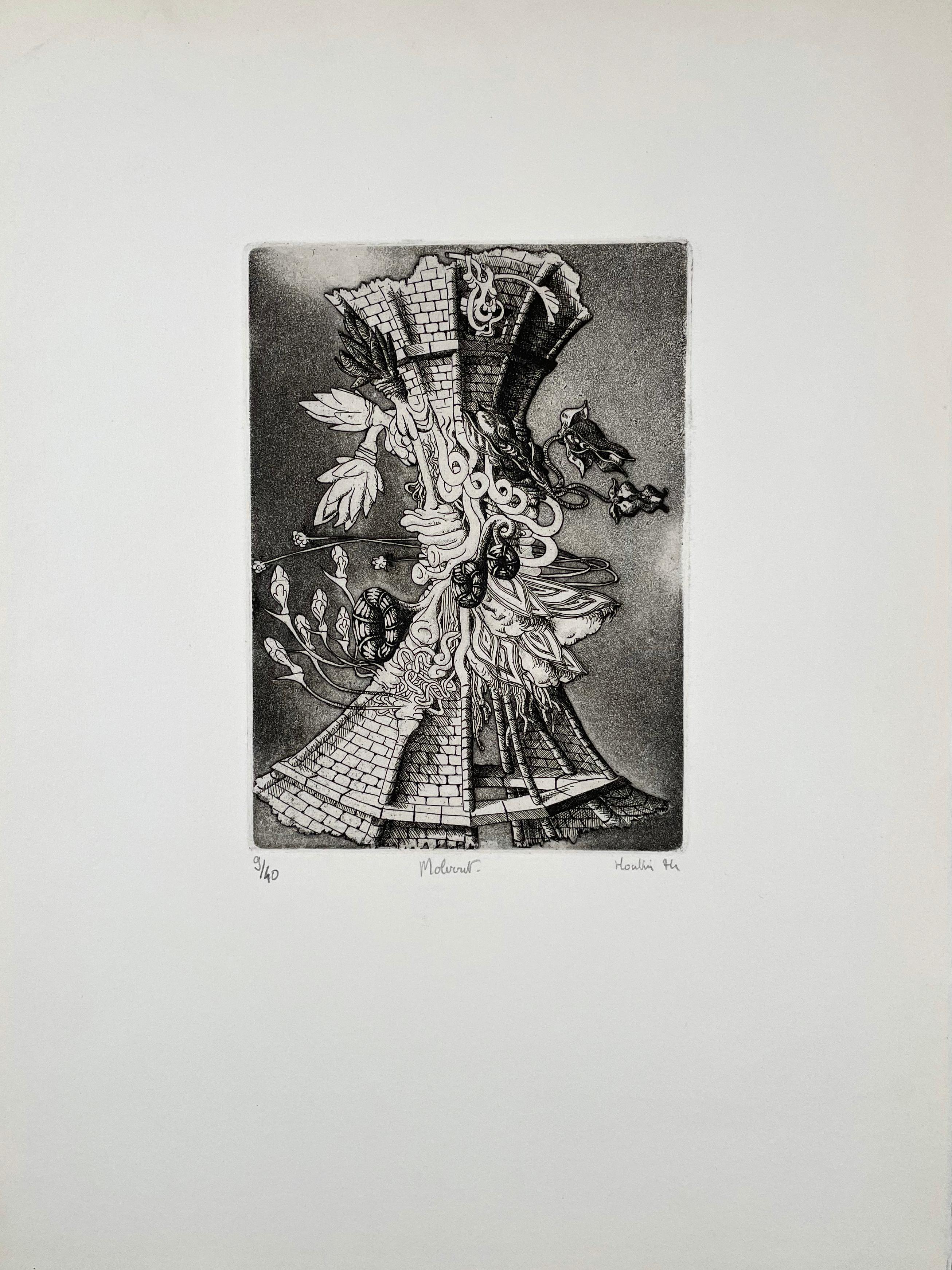 Molvout, by Francois Houtin - Print by François Houtin