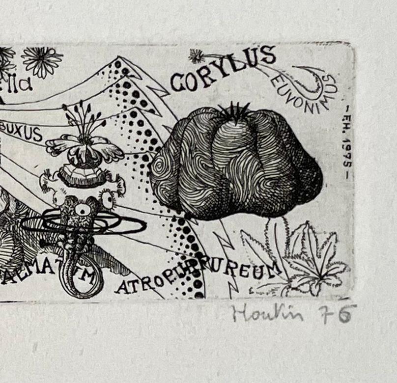 Signed and titled by the artist  from the edition of 40.  A print from early in Houtin's career A fanciful unstructured poem, with plants, designs and words flowing through the image.

François Houtin was born in Craon en Mayenne, France in 1950. He