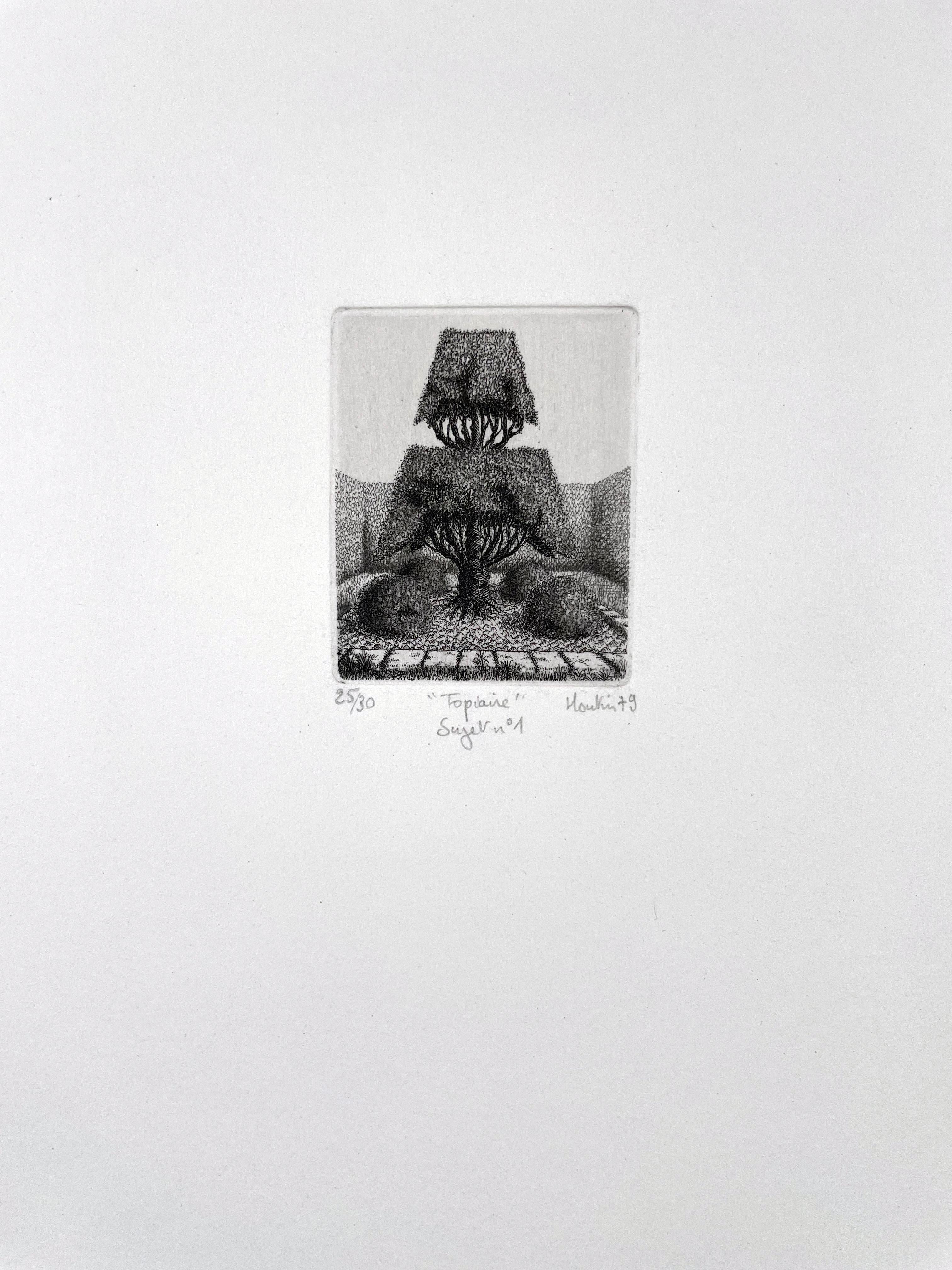 Topiaire Sujet No. 1, by Francois Houtin - Print by François Houtin