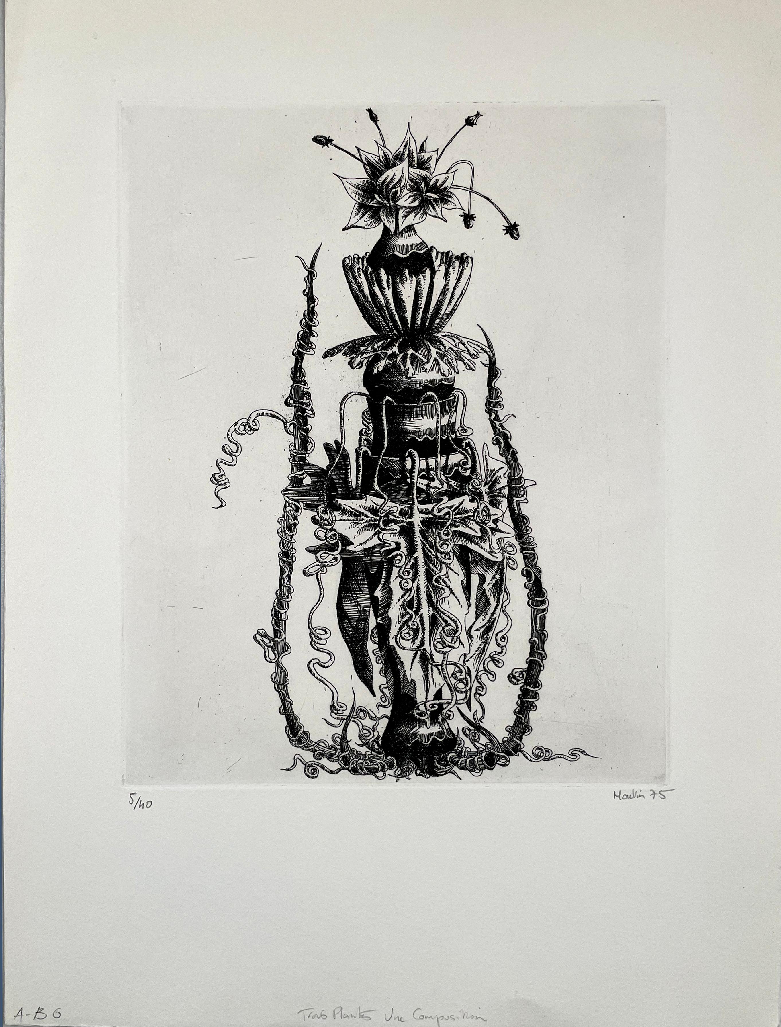 Trois Plantes, by Francois Houtin - Print by François Houtin