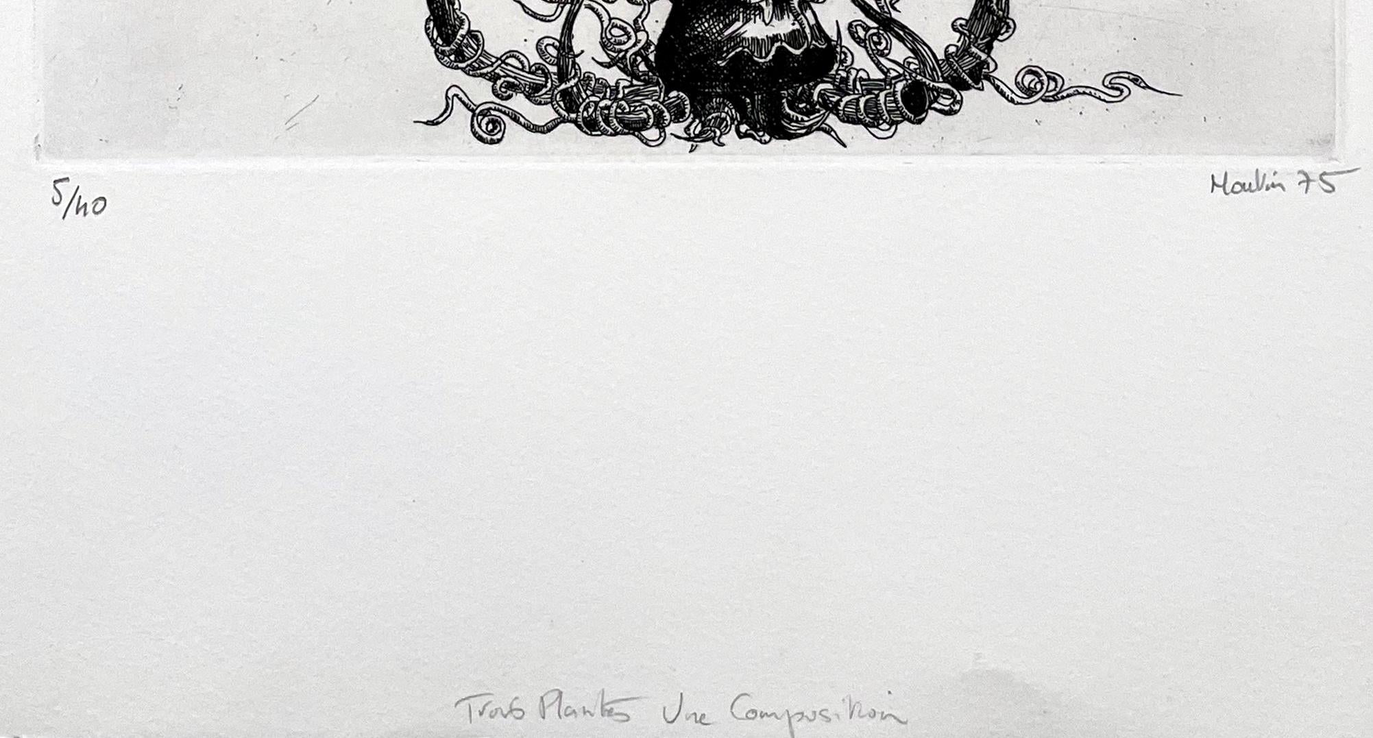 Trois Plantes, by Francois Houtin - Contemporary Print by François Houtin