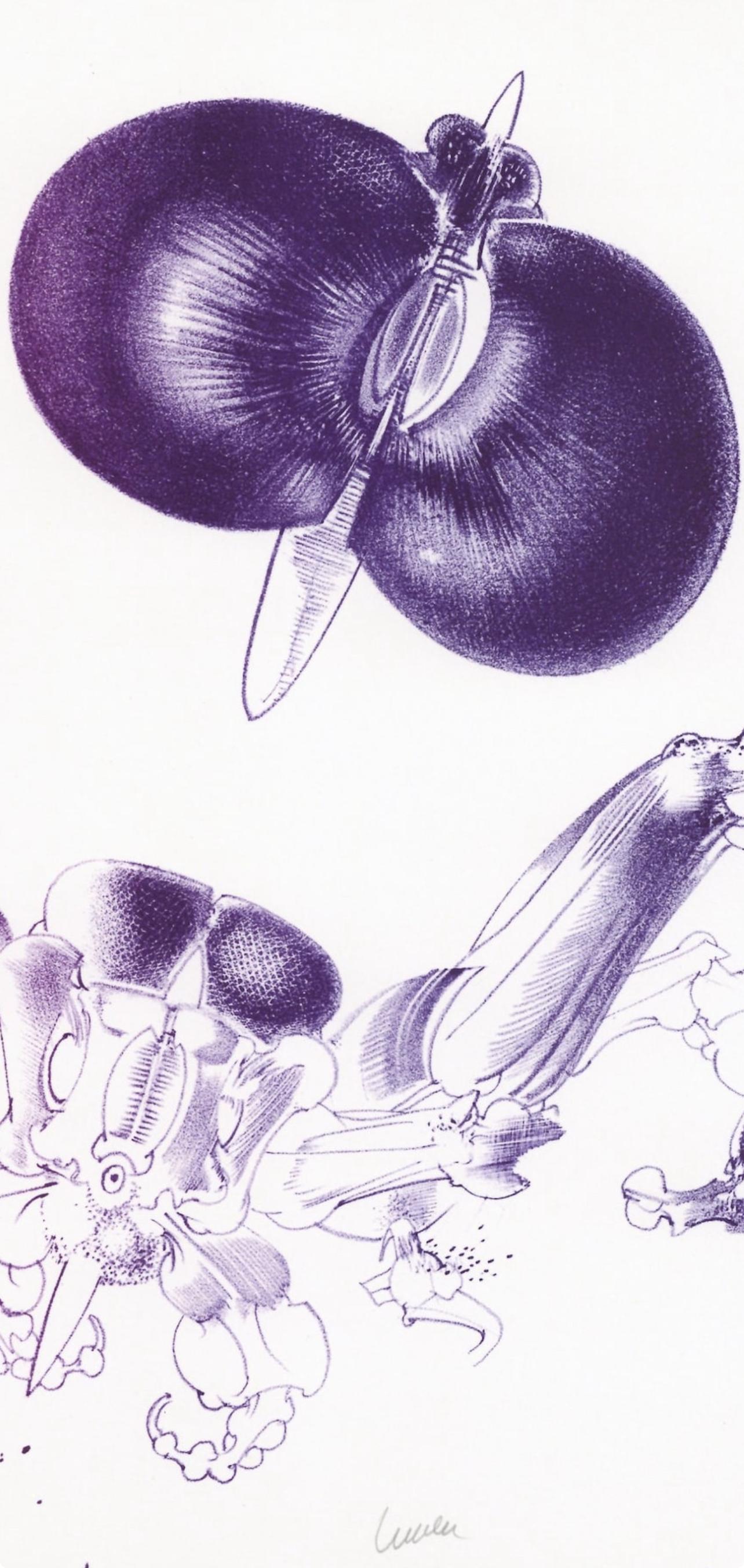 Composición, Variaciones sobre el imaginario, François Lunven - Print de Francois Lunven