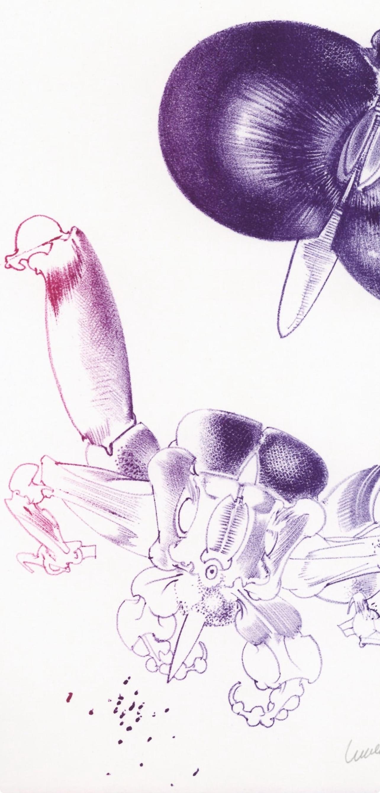 Composición, Variaciones sobre el imaginario, François Lunven - Print Surrealista de Francois Lunven