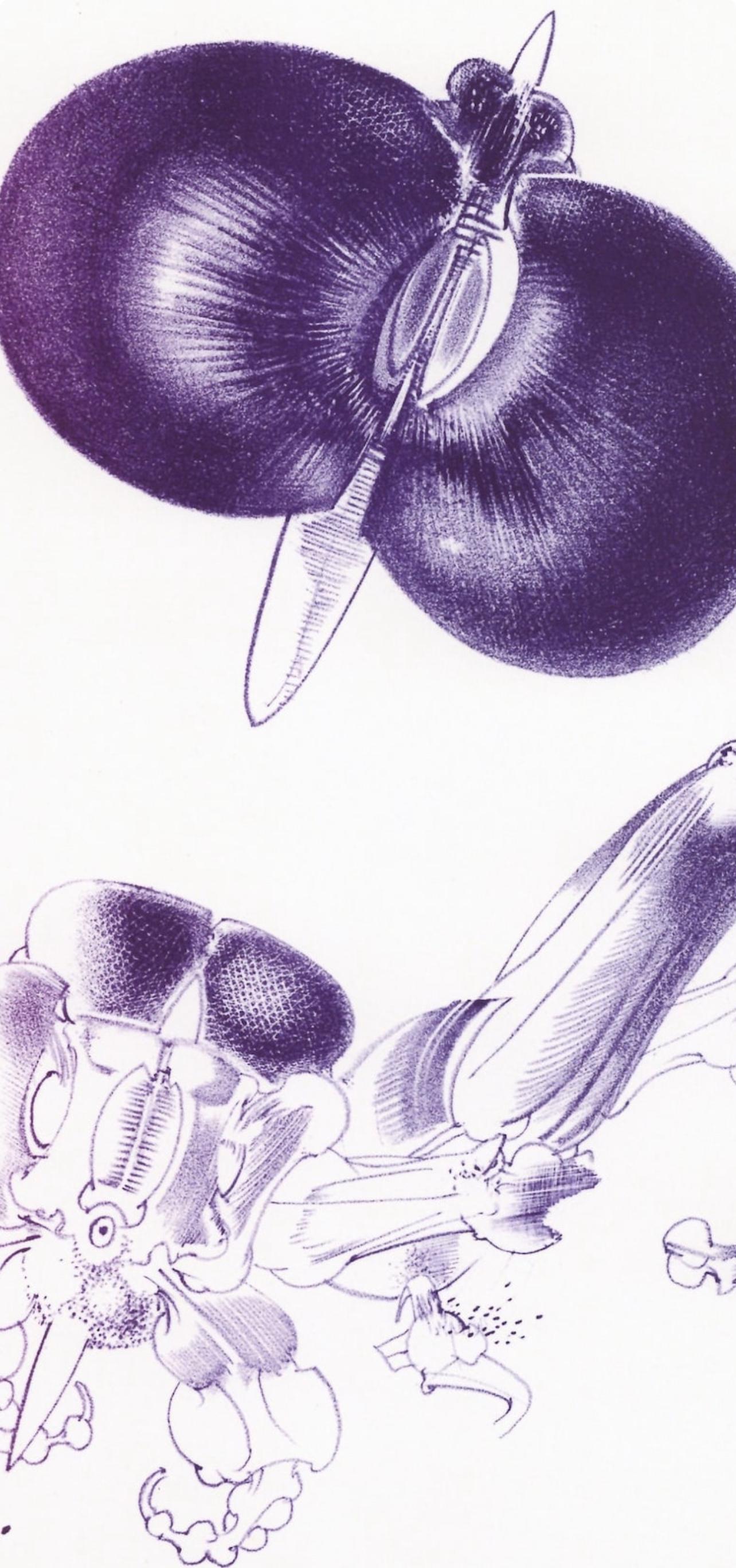 Composición, Variaciones sobre el imaginario, François Lunven - Abstract Print Gris de Francois Lunven