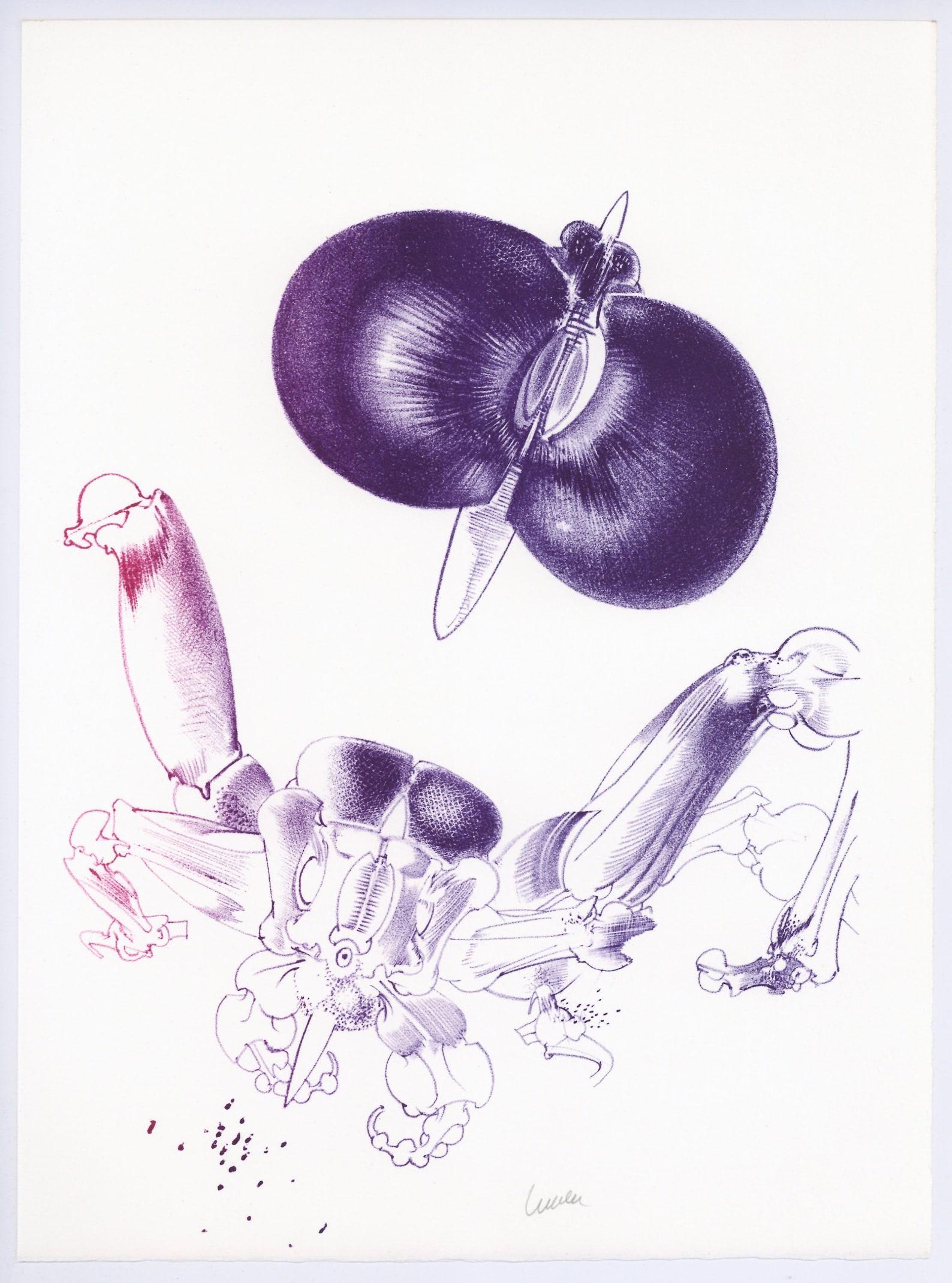 Litografía sobre papel vélin de Rives. Inscripción: firmada a mano y sin numerar, tal como se emitió. Buen estado. Notas: Del folio, Variations sur l'imaginaire, 1972. Publicado por Philippe Lebaud, Éditeur, París; impreso por los ateliers de René