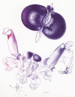 Composición, Variaciones sobre el imaginario, François Lunven