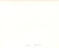 Intersecting Lines - Plate 3 - Screen Print by François Morellet - 1975