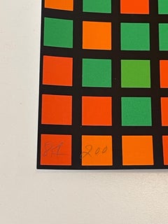 François Morellet Firmato Serigrafia in edizione limitata Chartres Vert Orange