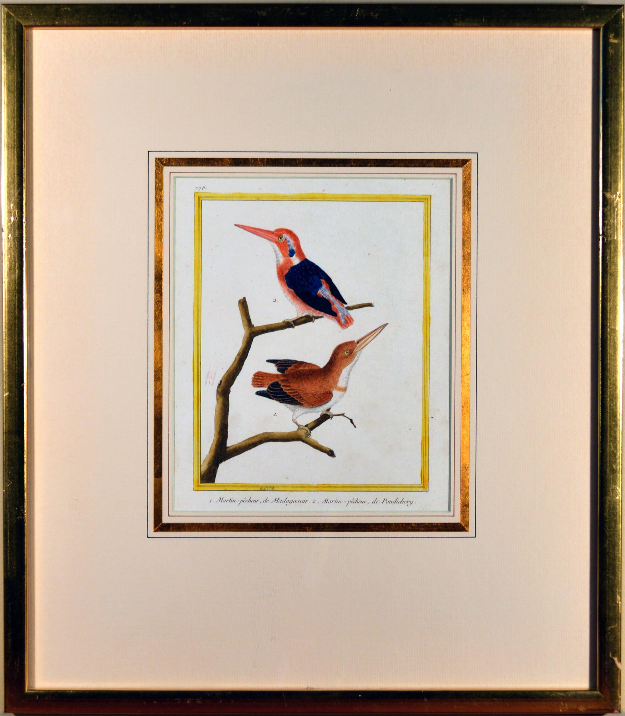 Francois Nicholas Martinet bird engraving,
circa 1770.

The framed Francois Martinet engraving is from Buffon's Historie Naturelle des Oiseaux displaed beautifully in a large frame.

Dimensions: 21 3/4 inches high x 13 inches wide x 3/4 inches