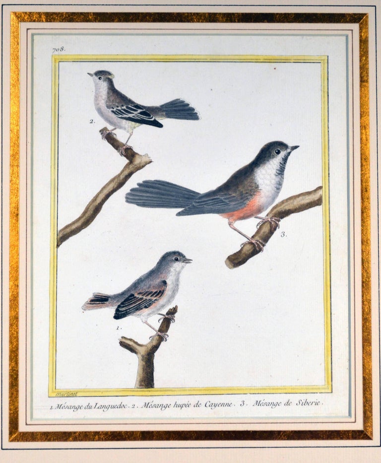 Francois Nicholas Martinet Bird Engravings, Set of Six, circa 1770 For Sale 3