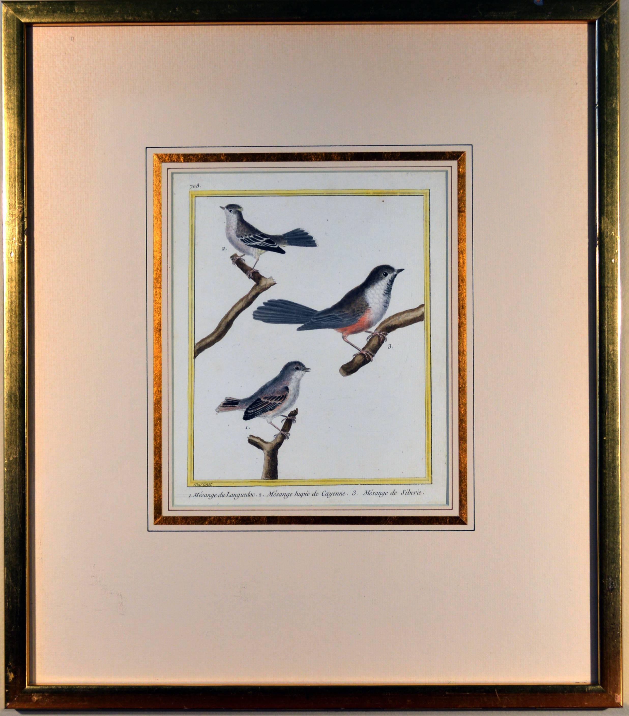 Francois Nicholas Martinet Bird Engravings, Set of Six, circa 1770 1