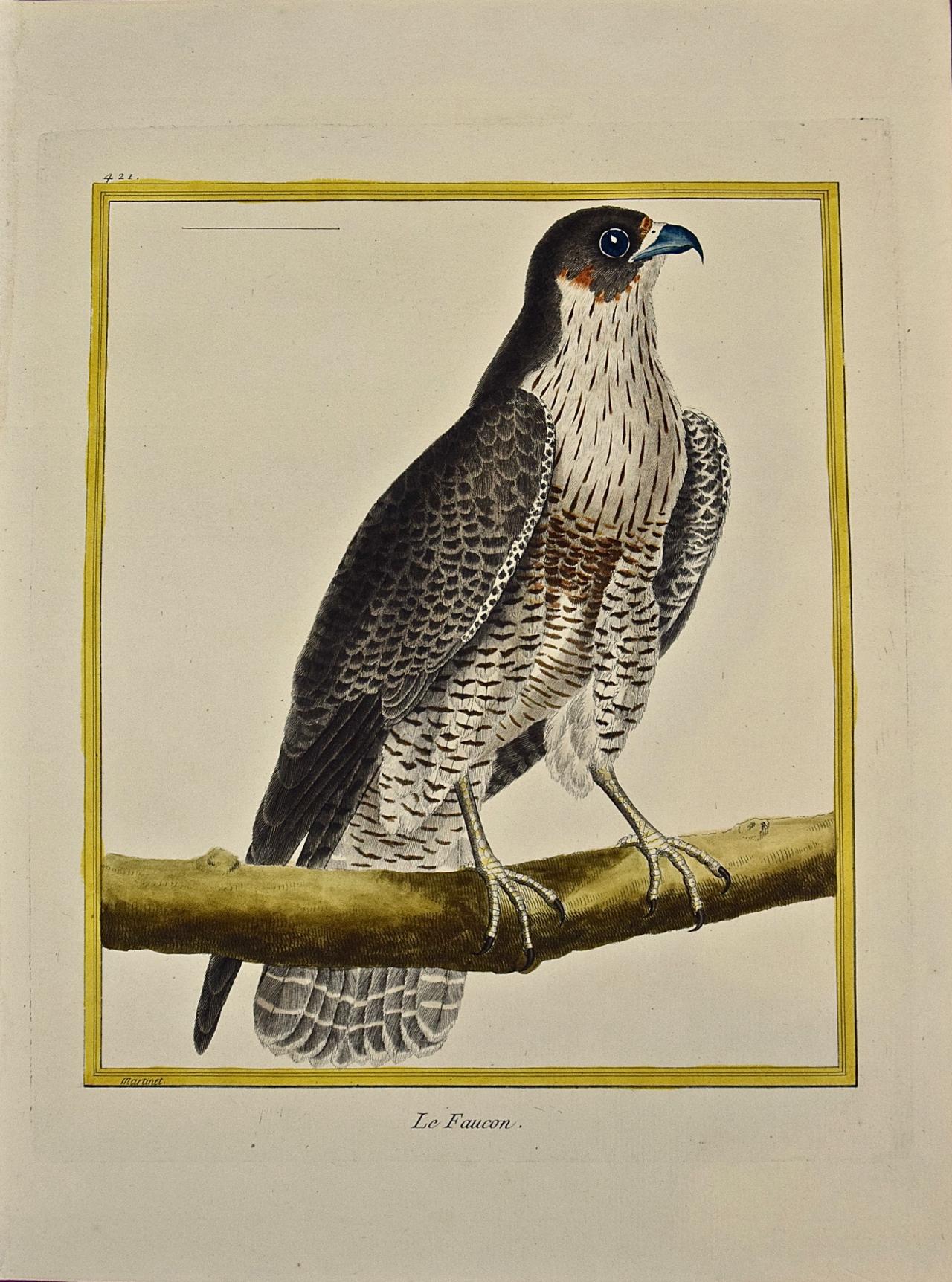 Francois Nicolas Martinet Landscape Print - An 18th Century Hand Colored Engraving of a Falcon "Le Faucon" by Martinet