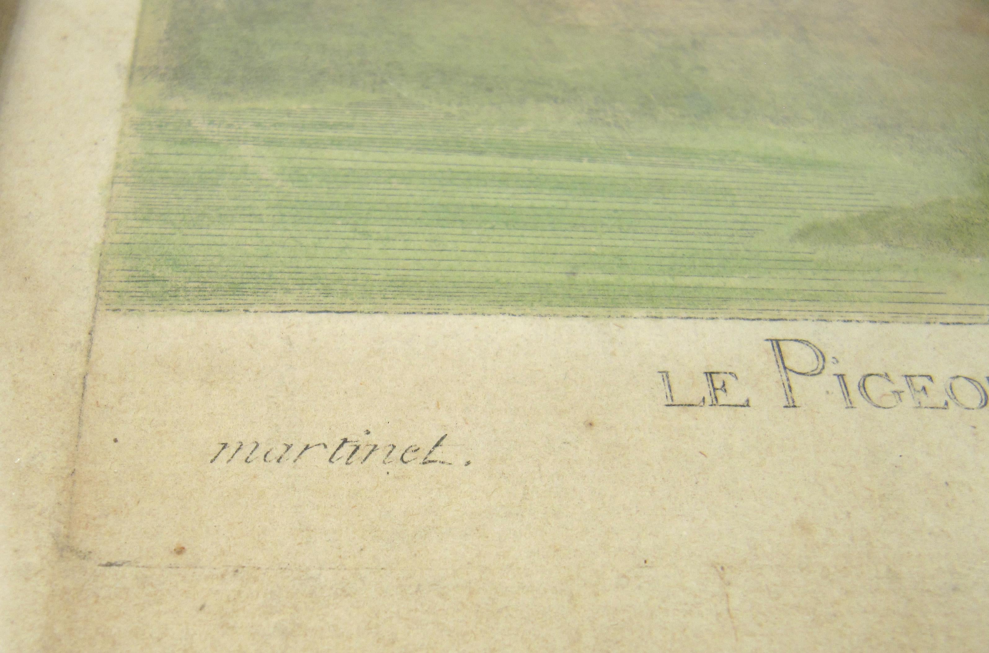 François Nicolas Martinet (1731-1800) Le pigeon ramier de Madacascar Kupferstich im Angebot 2