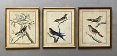 Trois gravures d'après Martinet, 19e siècle ou avant