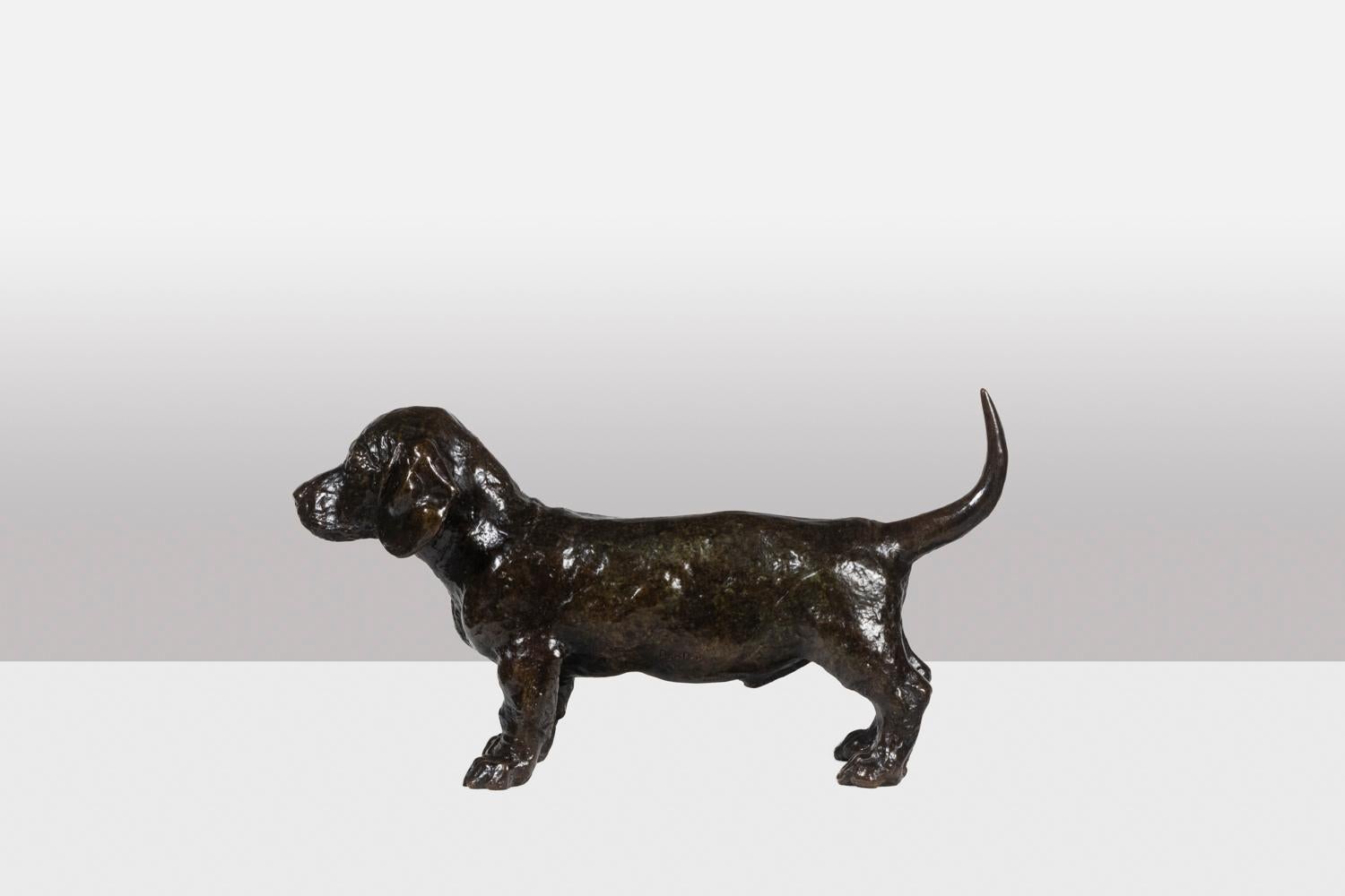 François Pompon.
Atelier Valsuani, edited by.

Sculpture entitled “Chien Basset TOC”. Bronze with brown patina, lost wax casting.

Stamp of the Foundry “cire perdue C. Valsuani”. Reproduction dated 2006. Numbered 9/25.

Reference: LS59813967H
