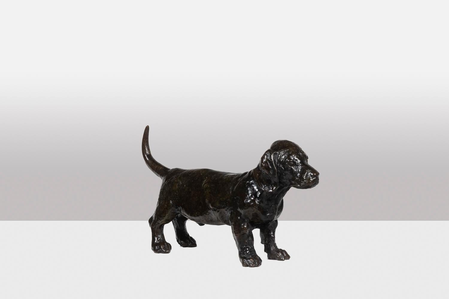 François Pompon. “Chien basset TOC”, bronze, 2006 print. In Excellent Condition For Sale In Saint-Ouen, FR