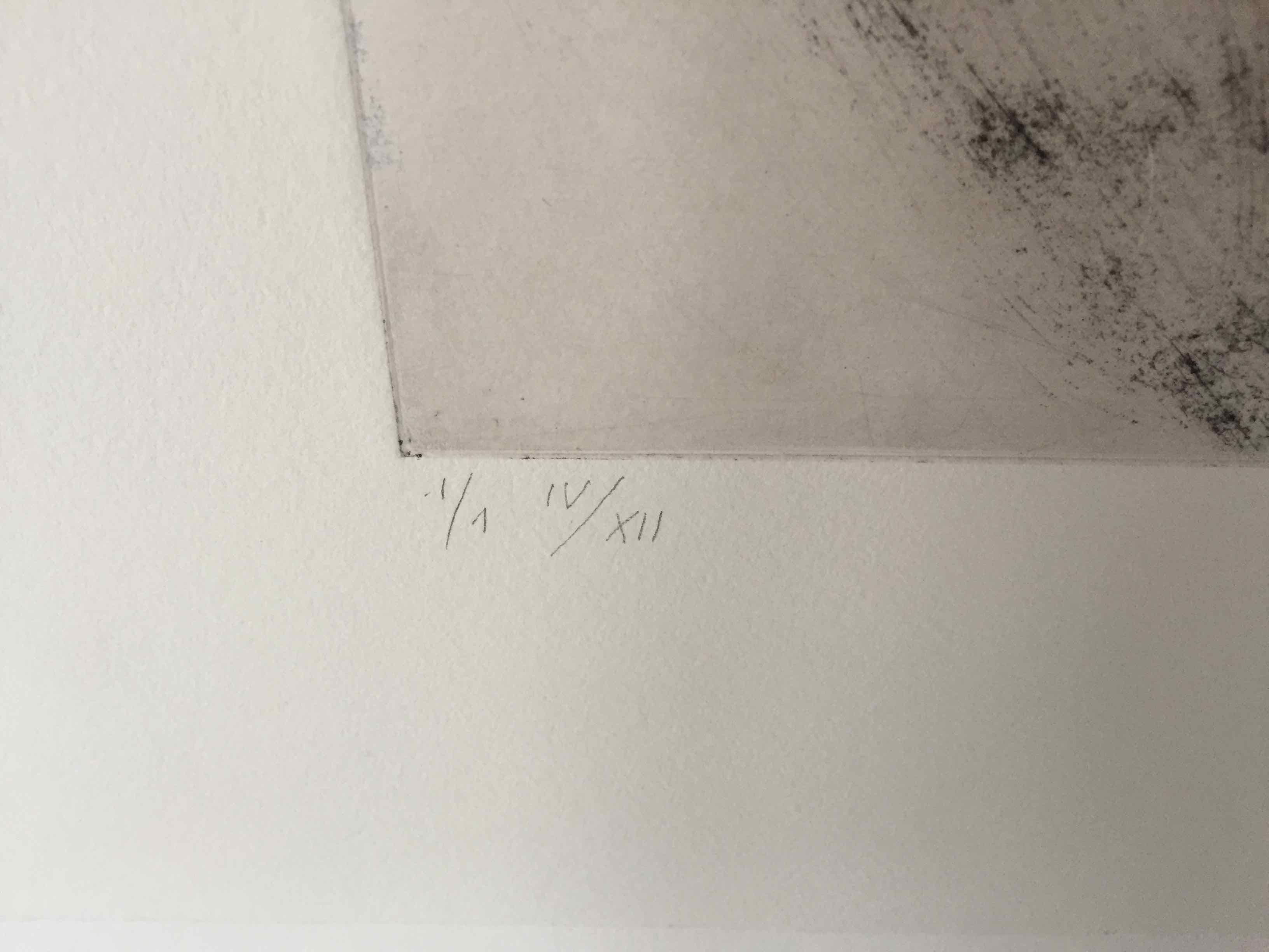 Souche 4: Limited Edition Engraving with Unique Hand Painting by François Pont For Sale 3