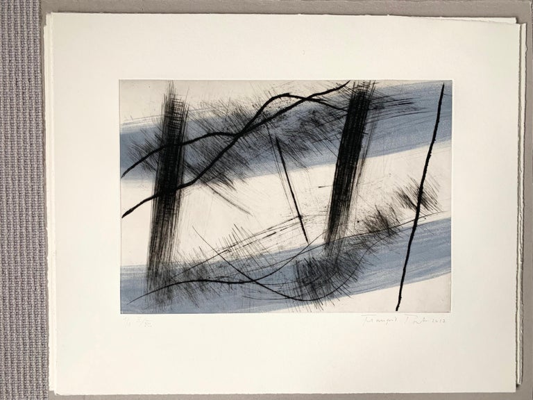 Traversée III (2): Editioned Engraving with Hand Painting by François Pont For Sale 3