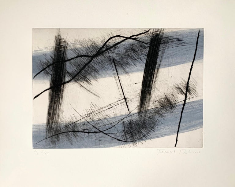 Traversée III, 2015-2017, Dry-point on unique hand-painted chine collé, Limited Edition number 2 of 12, 11 2/5 × 16 1/10 in, 29 × 41 cm by François Pont

Using black ink, anthracite charcoals and thin washes of fresh, dancing colour, François Pont’s