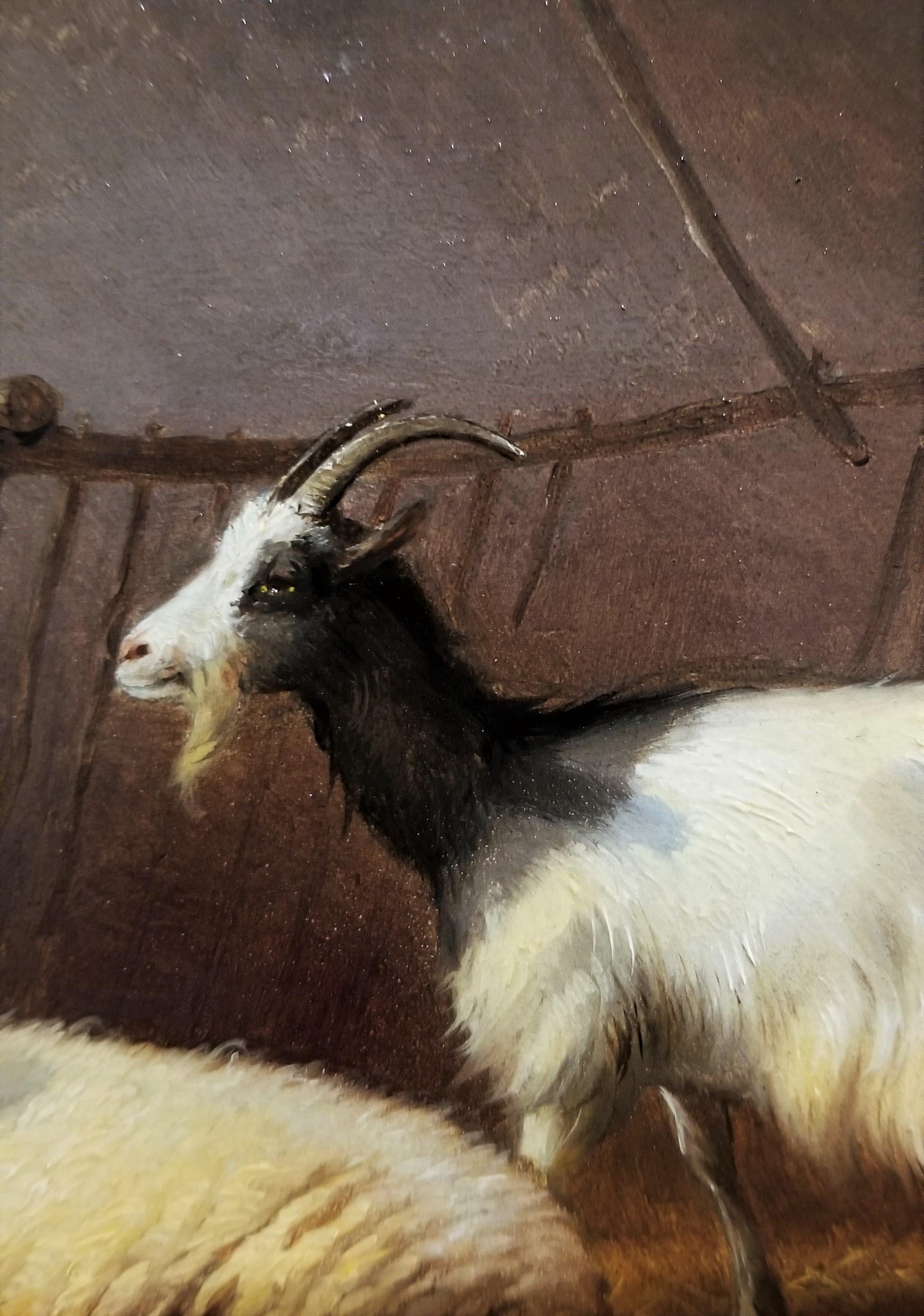 Capra, pecora e gallina nella stalla 9