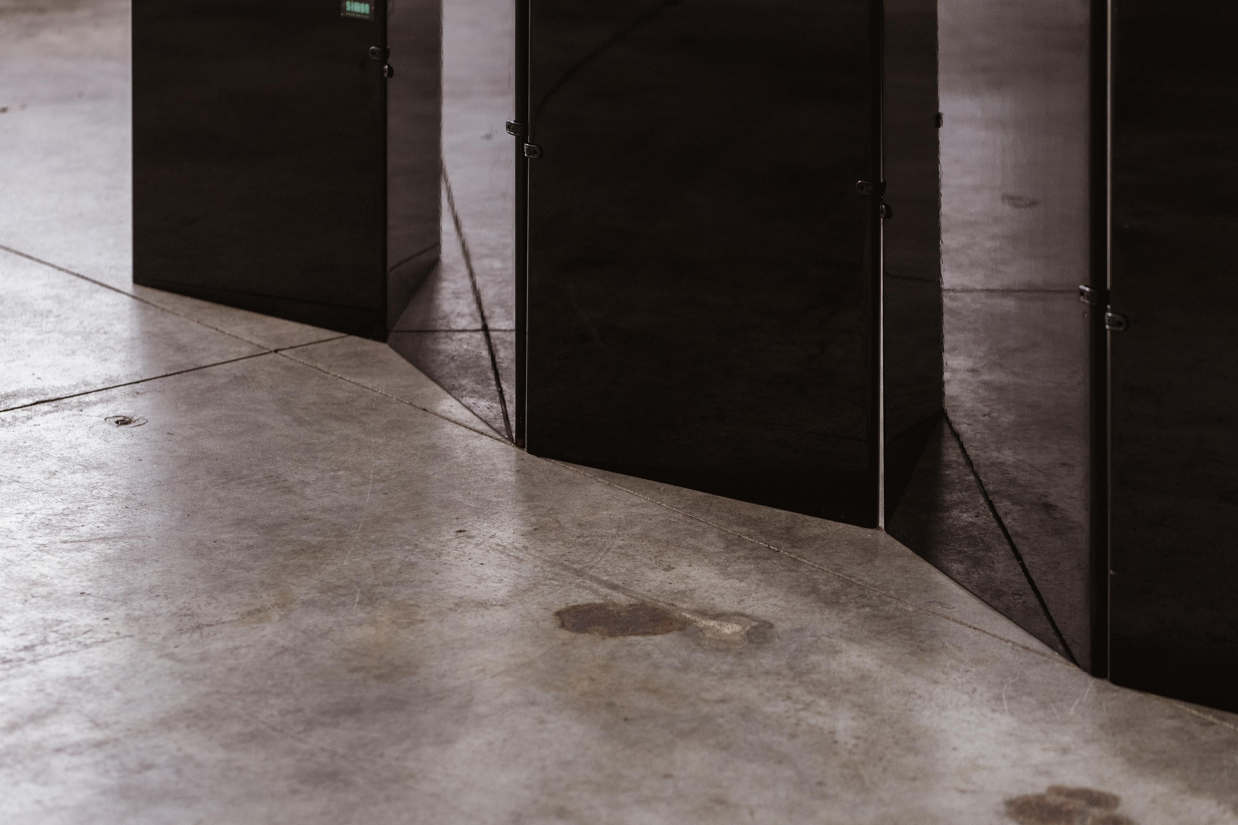 Wood François-Xavier Lalanne and Kazuhide Takahama 