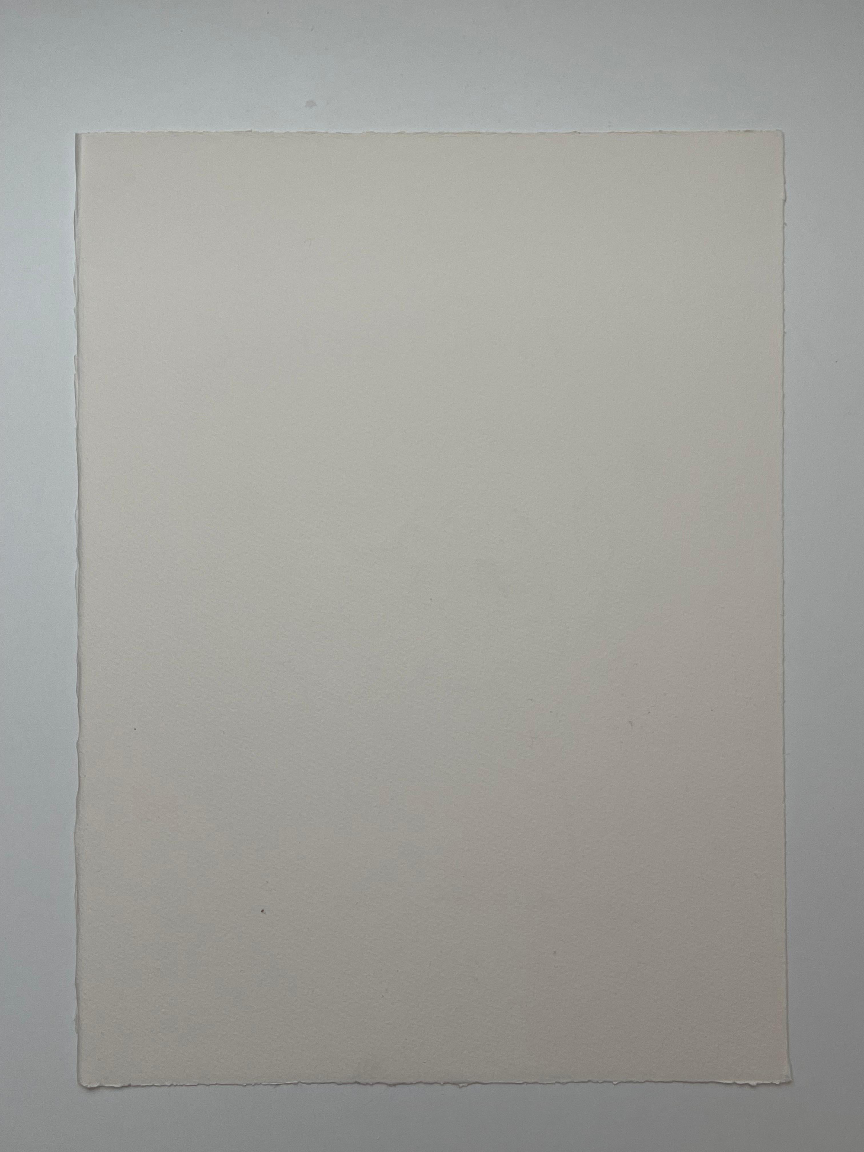 François-Xavier Lalanne, disegno originale a inchiostro, 2004 in vendita 3
