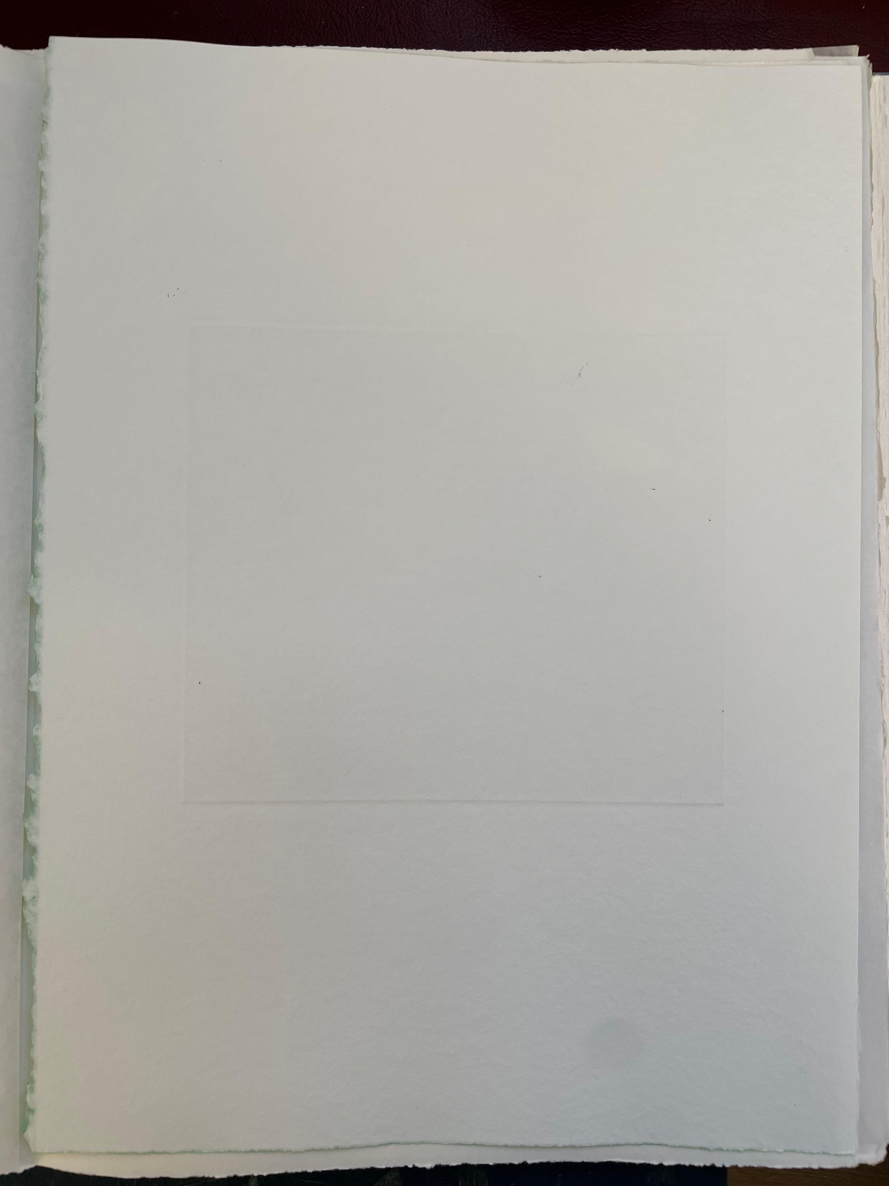 François-Xavier Lalanne (1927-2008) Un bélier et un oiseau, 2005 
Techniques : aquatinte aquarellée et vernis mou sur papier, signée au crayon par François Xavier Lalanne, en parfait état. 
Dimensions du papier : 38 x 28 cm (14,96 x 11 inches)