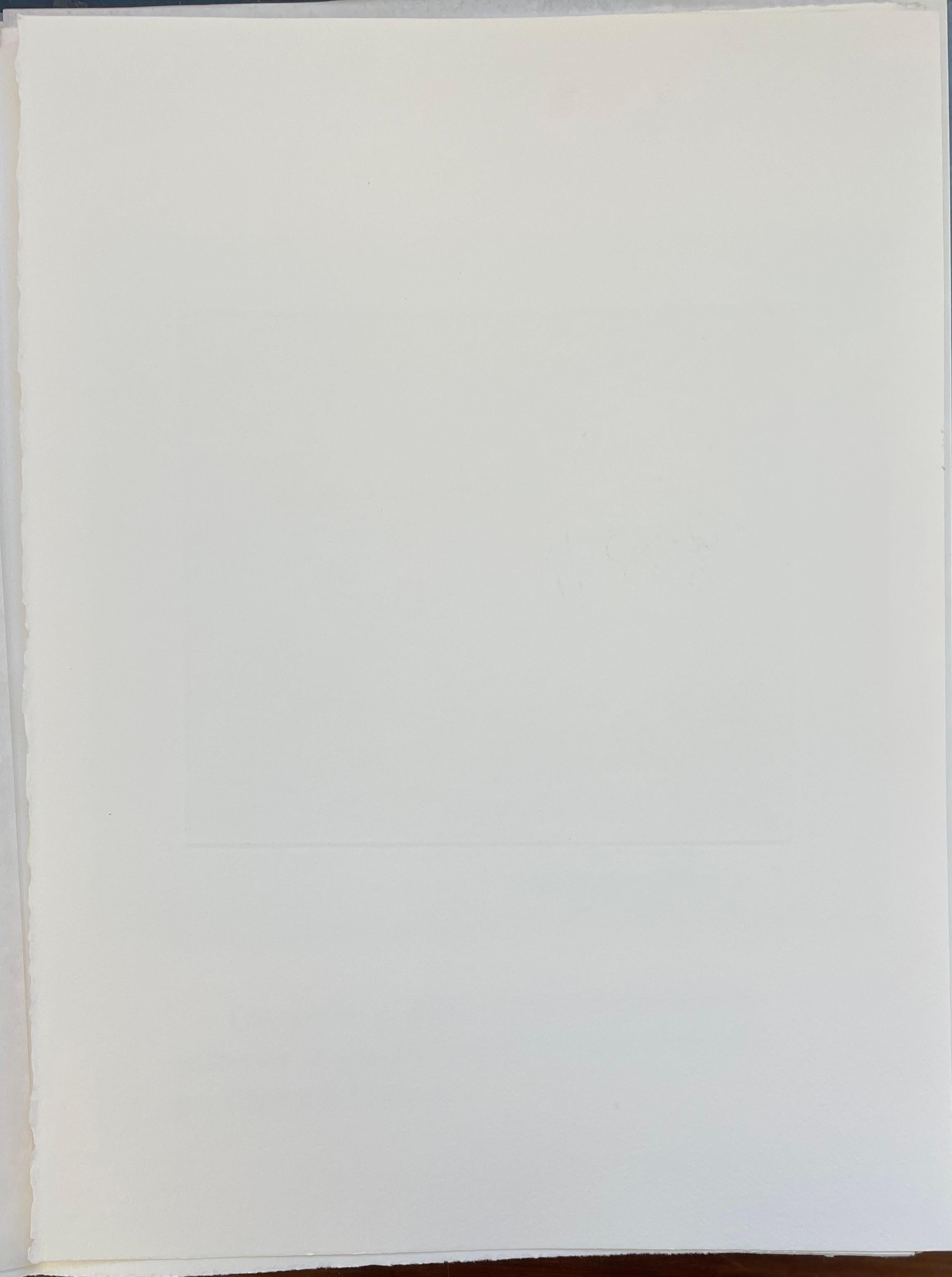 François-Xavier Lalanne (1927-2008) Cheval et sanglier, 2005 
Techniques : aquatinte et vernis mou sur papier, signé au crayon par François Xavier Lalanne, en parfait état. 
Dimensions du papier : 38 x 28 cm (14,96 x 11 inches) 
Dimensions du tirage