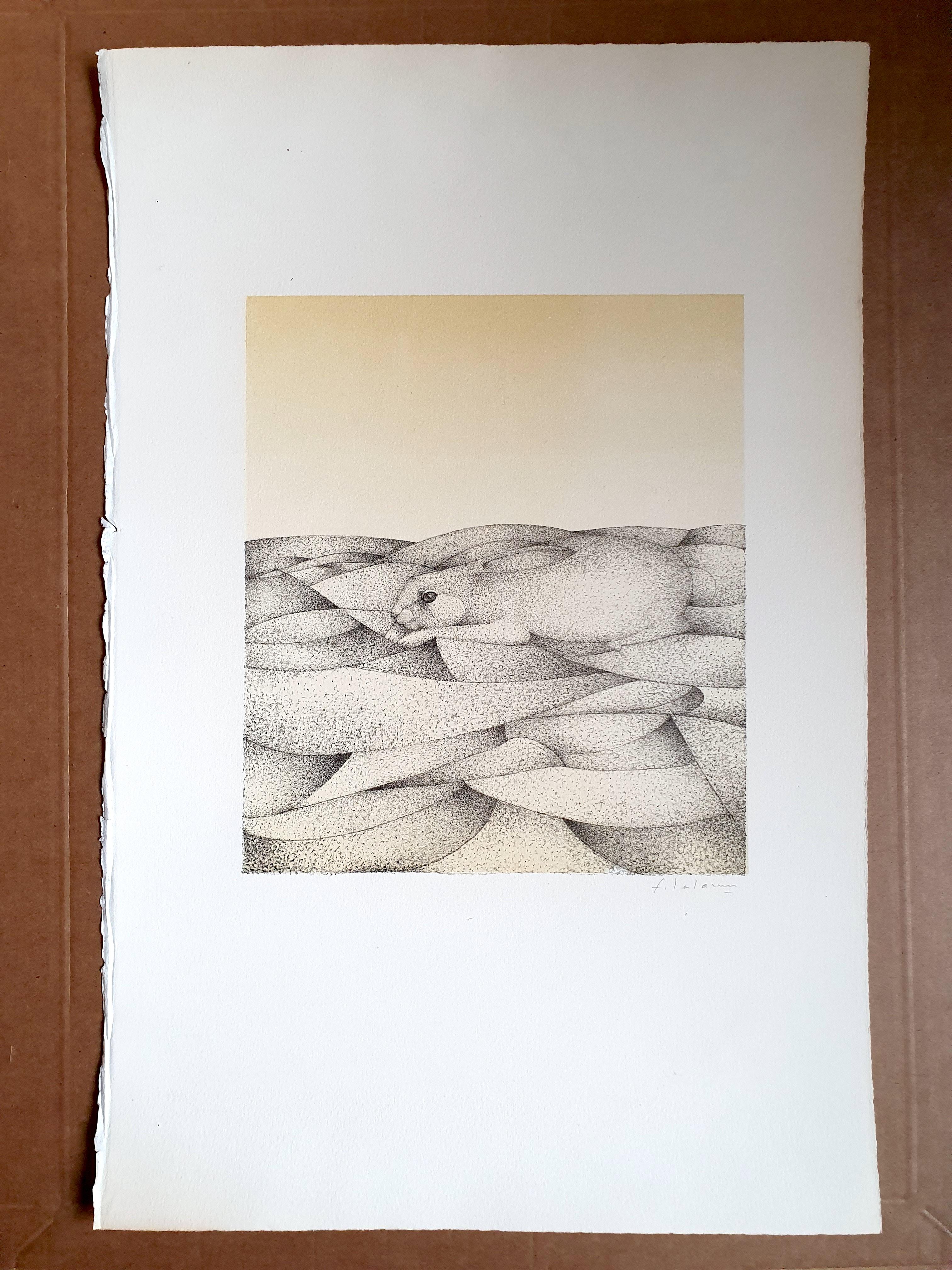 François Xavier Lalanne
The Dilemma ( Hare ) 
1978
Original print 
aquatint and varnish 
signed in pencil 


Limited edition at 75 copies not numbered
Size of the paper : 51 x 33 cm 
Size of the work : 25.3 x 21.7 cm 

Selling price : 2500 euros 