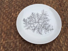 Francoise Adnet , suite de 12 assiettes en porcelaine de Limoges