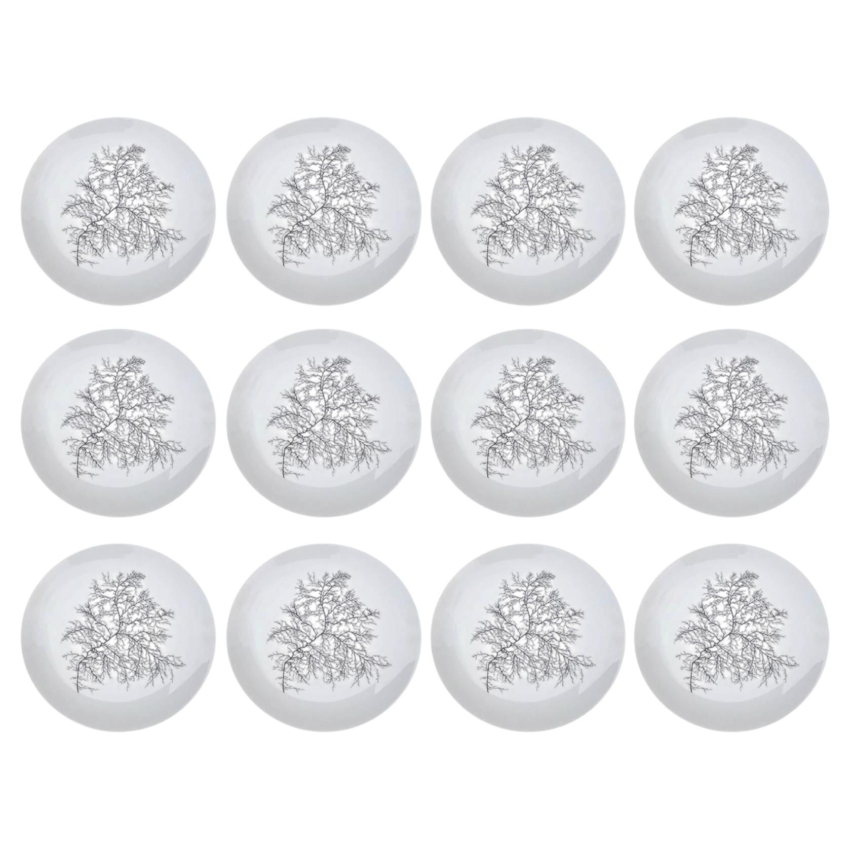 Francoise Adnet , suite de 12 assiettes en porcelaine de Limoges For Sale