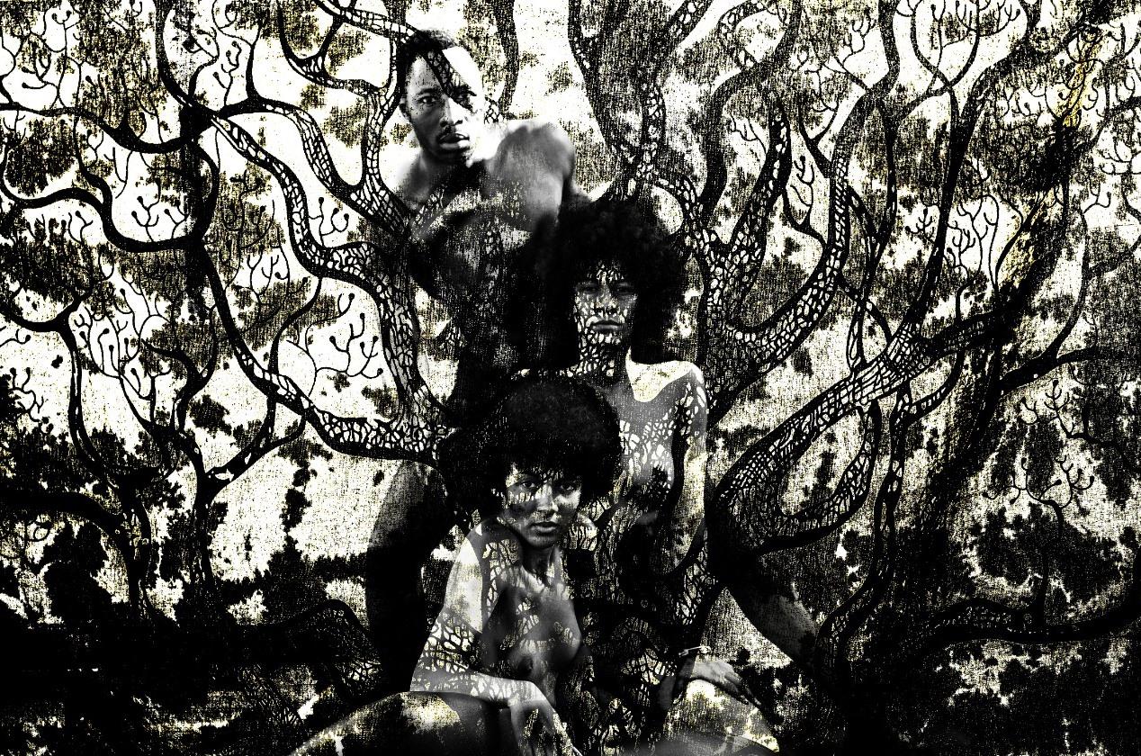Imagine Françoise Benomar Zeitgenössische afrikanische Fotografie Akt Landschaft Baum im Angebot 2