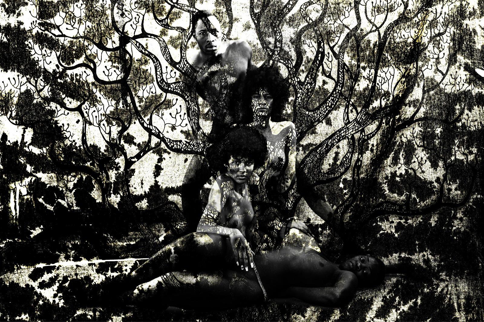 Imagine Françoise Benomar Zeitgenössische afrikanische Fotografie Akt Landschaft Baum