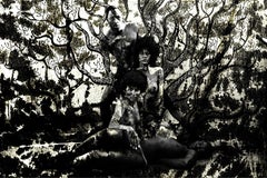 Imagine Françoise Benomar Zeitgenössische afrikanische Fotografie Akt Landschaft Baum