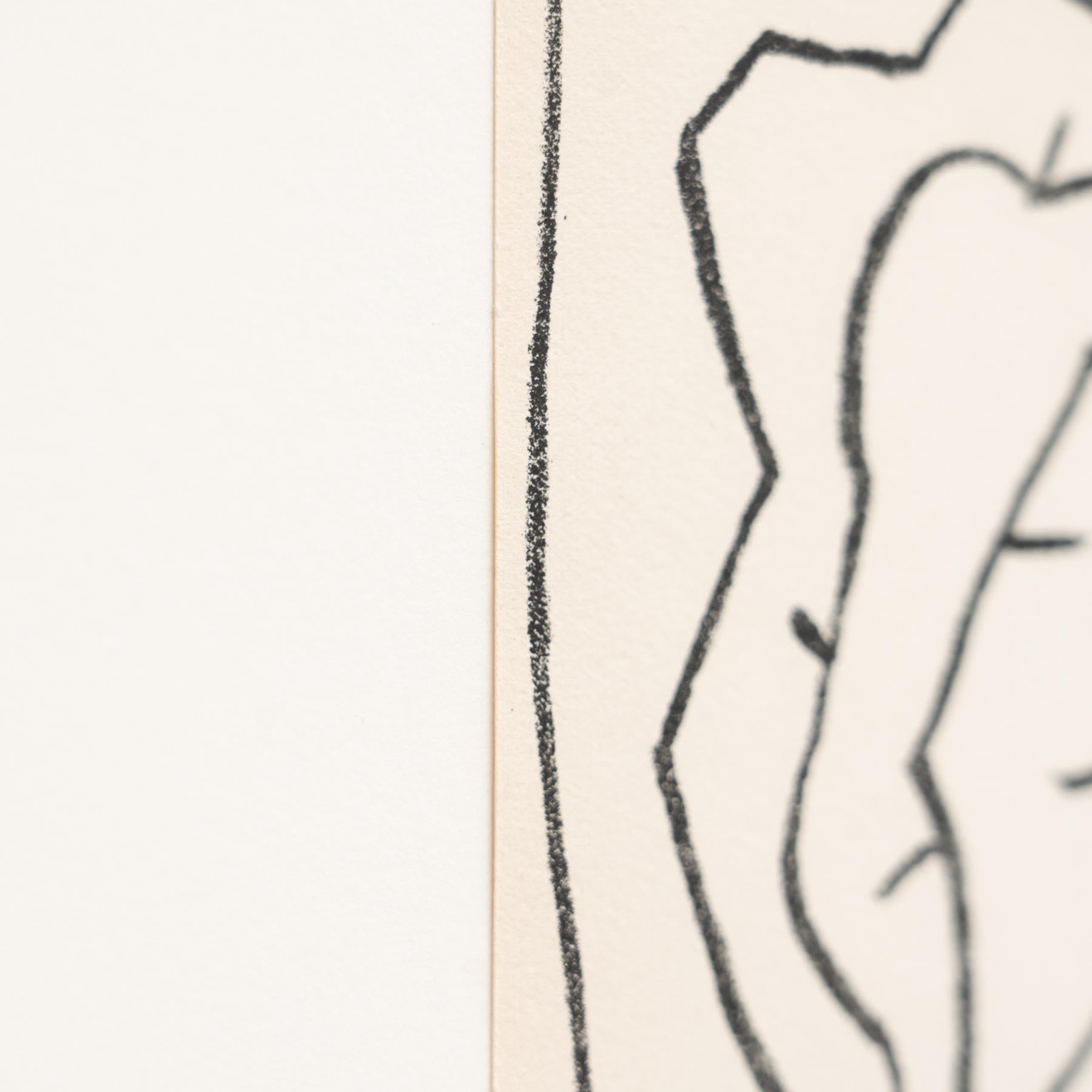 Françoise Gilot Litografia dalla serie 