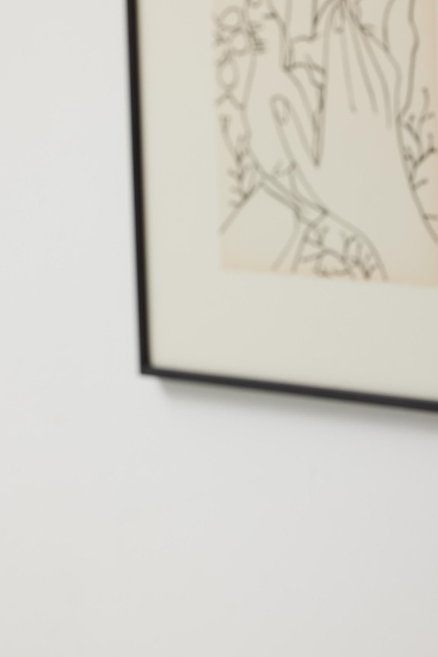 Françoise Gilot Litografía 