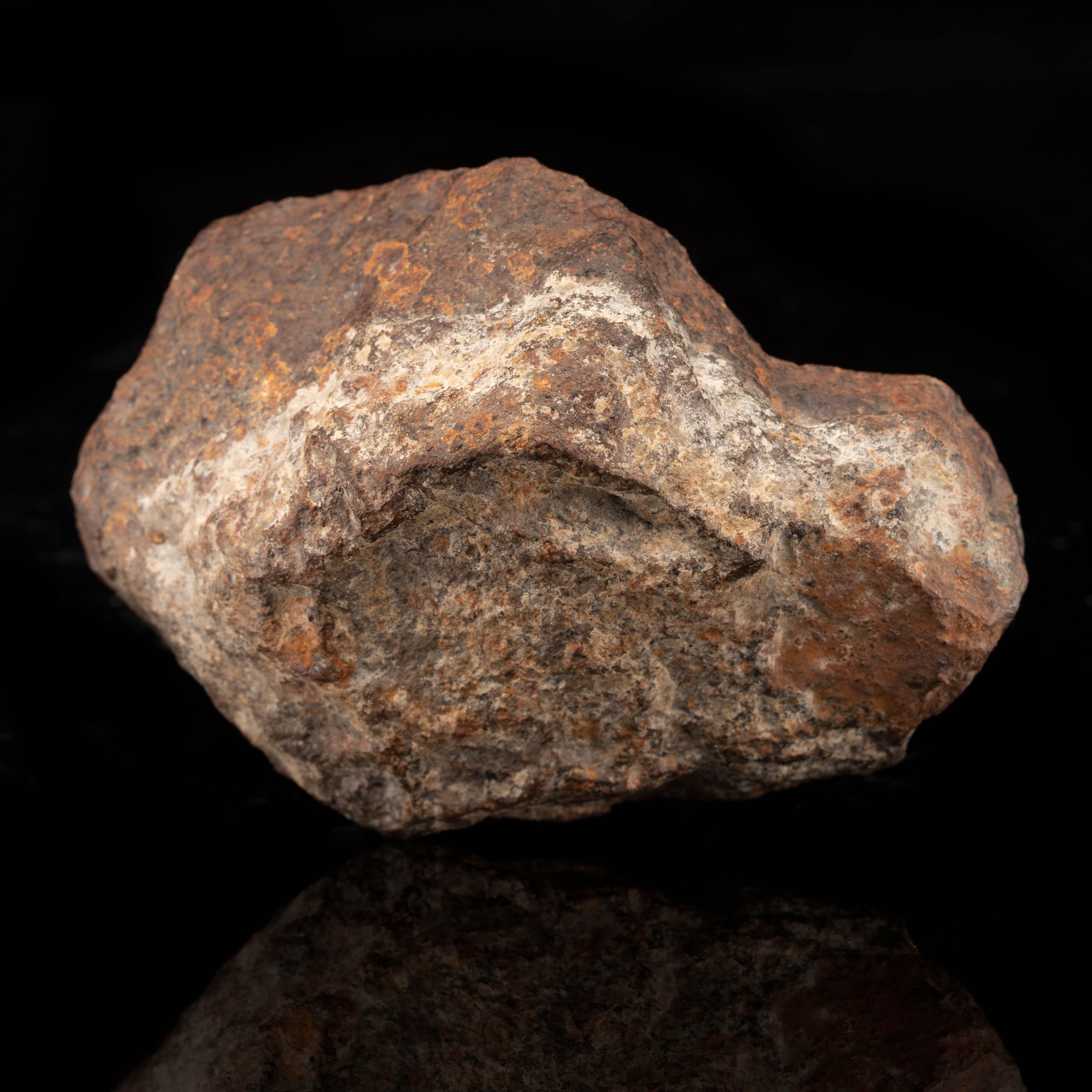 Found in 2002 at Franconia in Mojave, Arizona, this H5 chondrite meteorite can be found strewn amongst many other varieties of metorite in what has been coined a Dense Collection Area.

Comes with Certificate of Authenticity.

Dimensions: 4