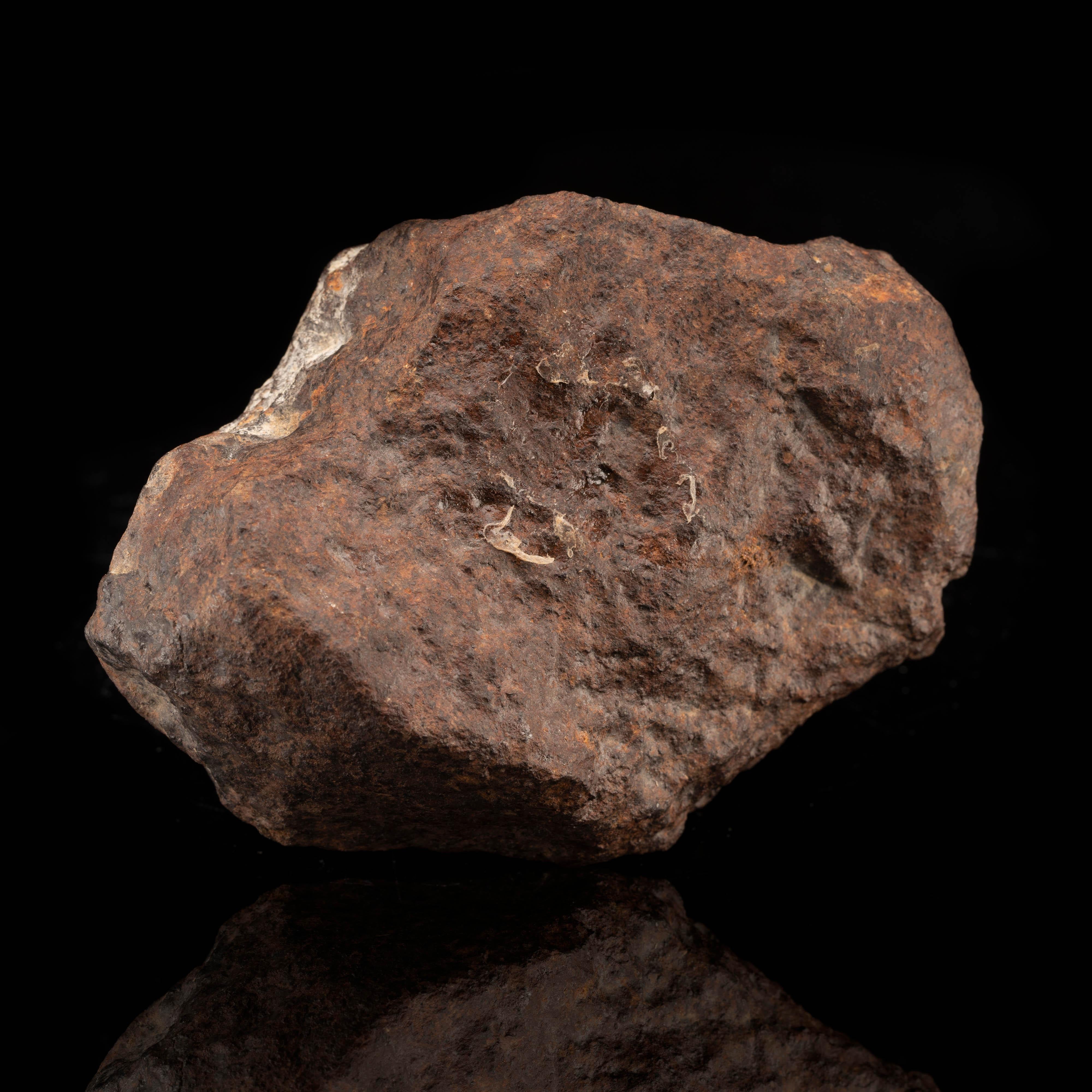 Franconia Meteorite In Excellent Condition For Sale In New York, NY