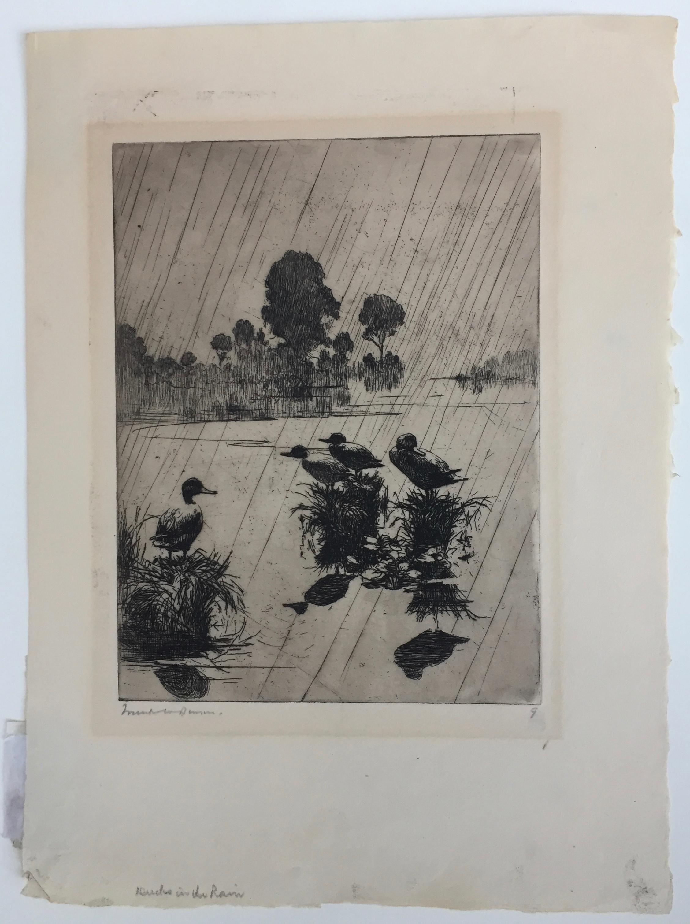 Ducks in the Rain - Print by Frank Benson