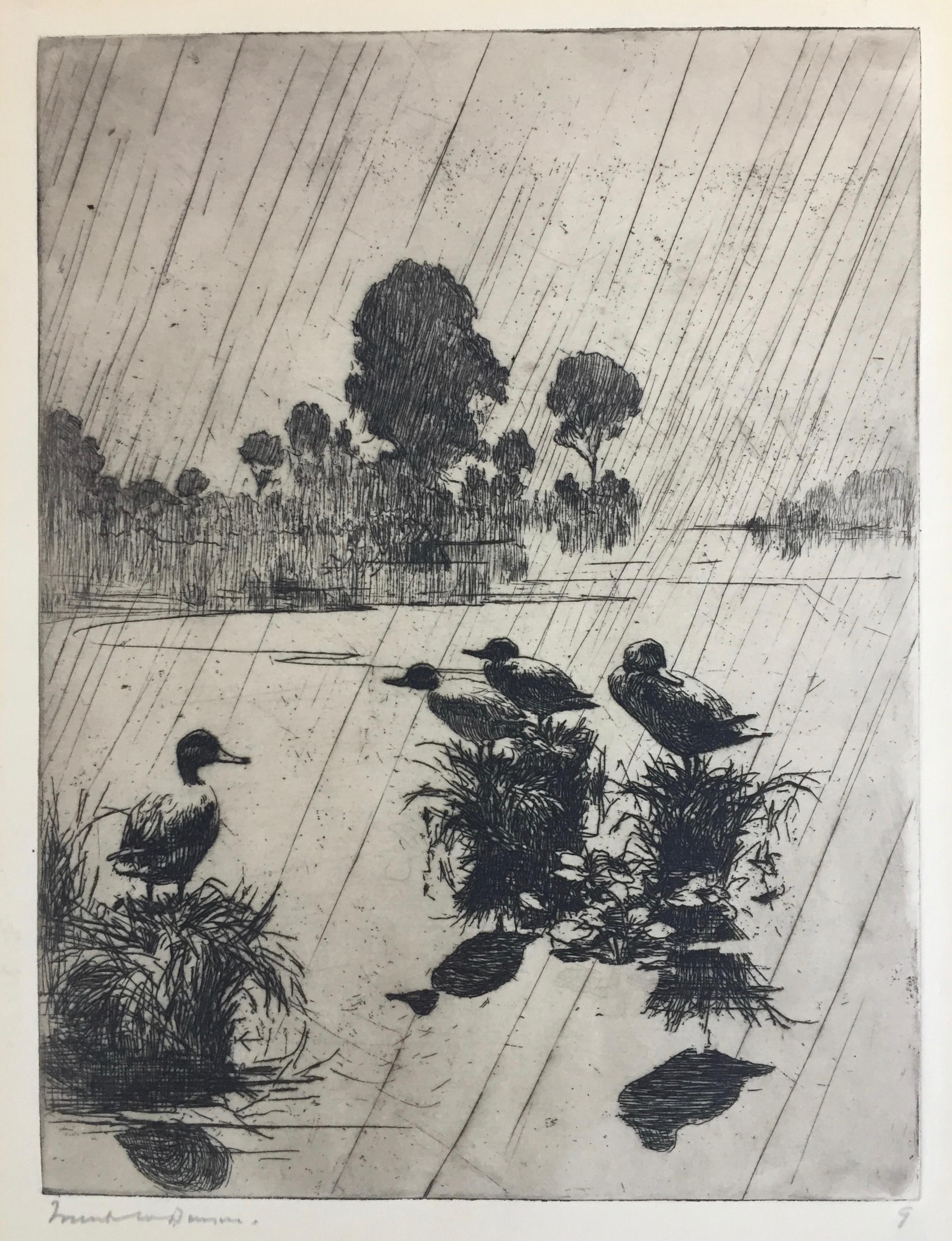 Ducks in the Rain - American Impressionist Print by Frank Benson