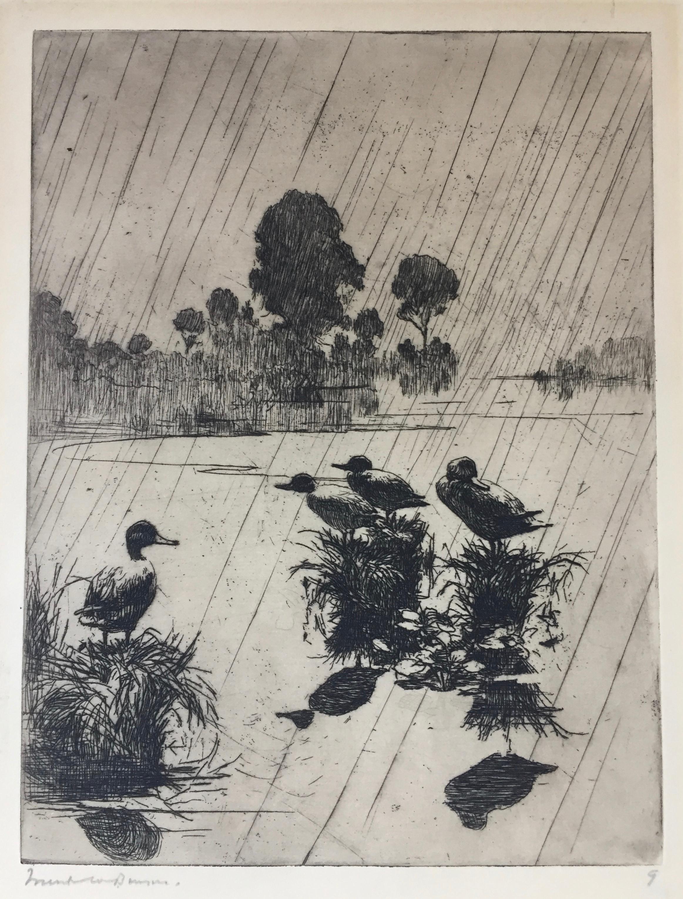 Frank Benson Landscape Print - Ducks in the Rain