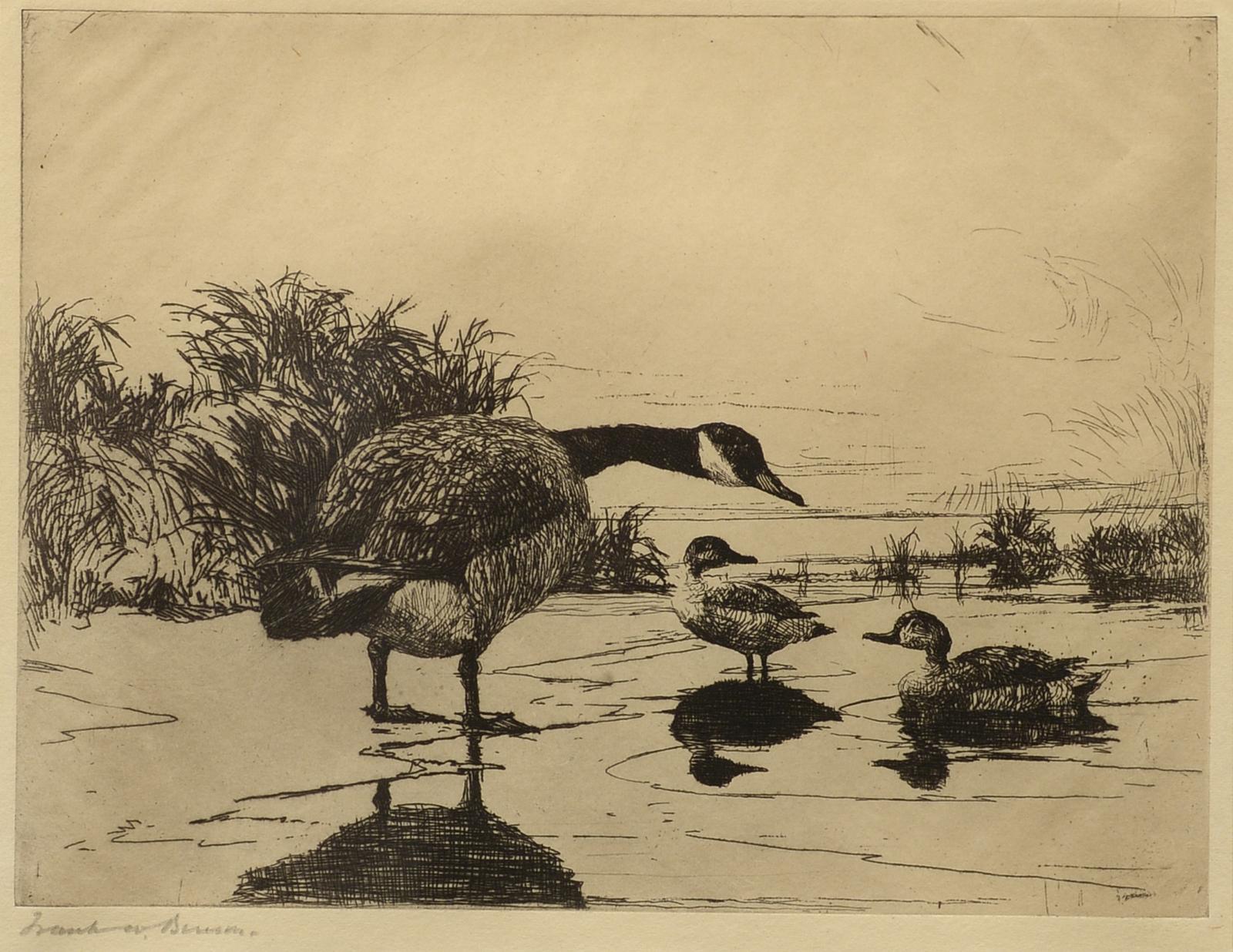 "Goose and Teal," etching, Frank Benson, in collections of Met, MFA, Smithsonian