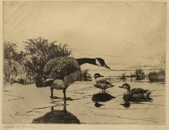 "Goose and Teal, " etching, Frank Benson, in collections of Met, MFA, Smithsonian