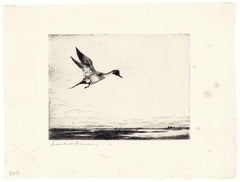 Gravure à la pointe sèche "Lone Pintail", signée 1930, édition de 150 exemplaires