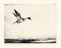 Gravure à la pointe sèche "Lone Pintail", signée 1930, édition de 150 exemplaires