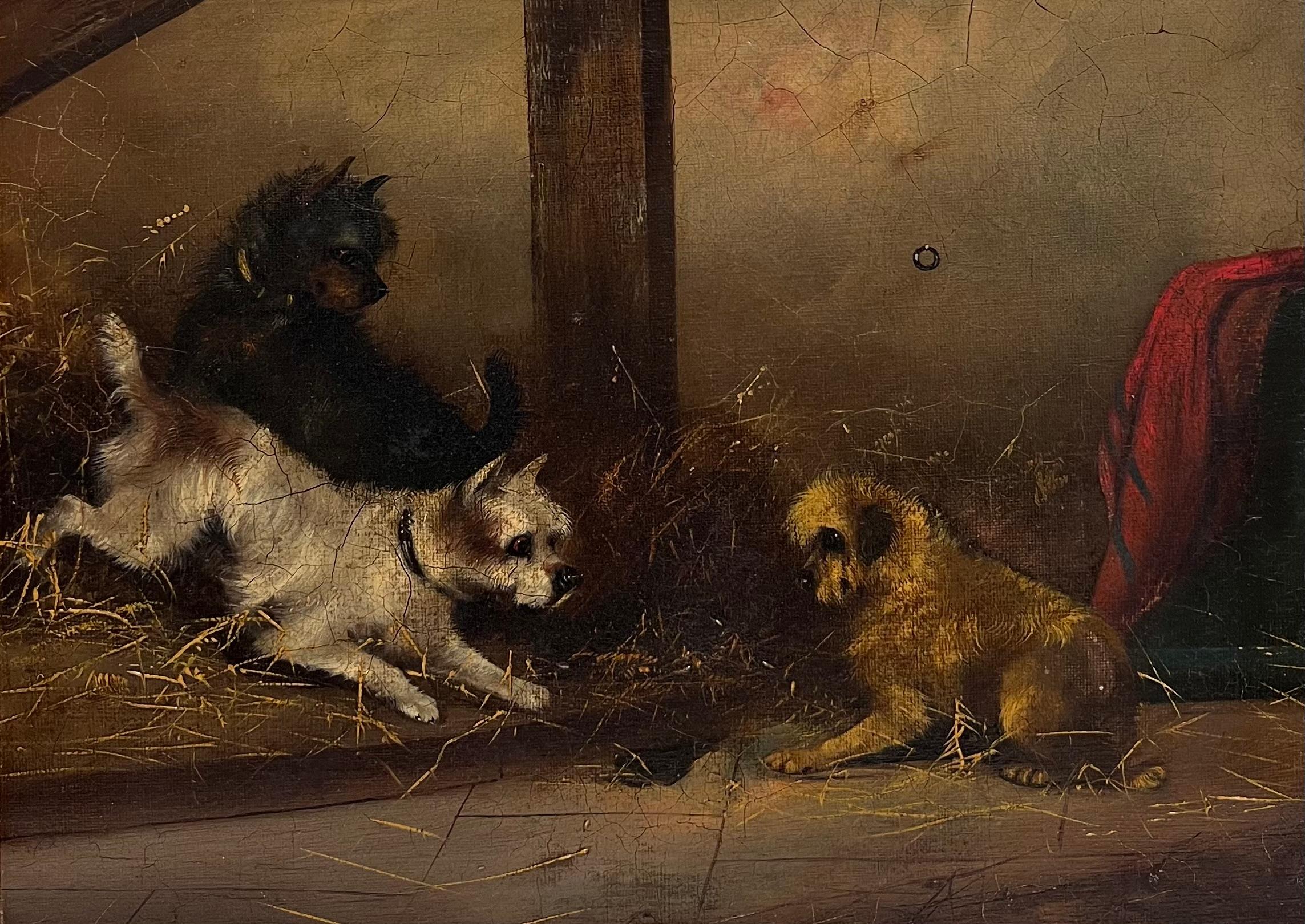 Fine Victorian Dog Oil Painting Terriers chasing Rat in Barn Stable Interior (peinture à l'huile de chiens chassant le rat dans une étable) - Marron Interior Painting par Frank Cassell