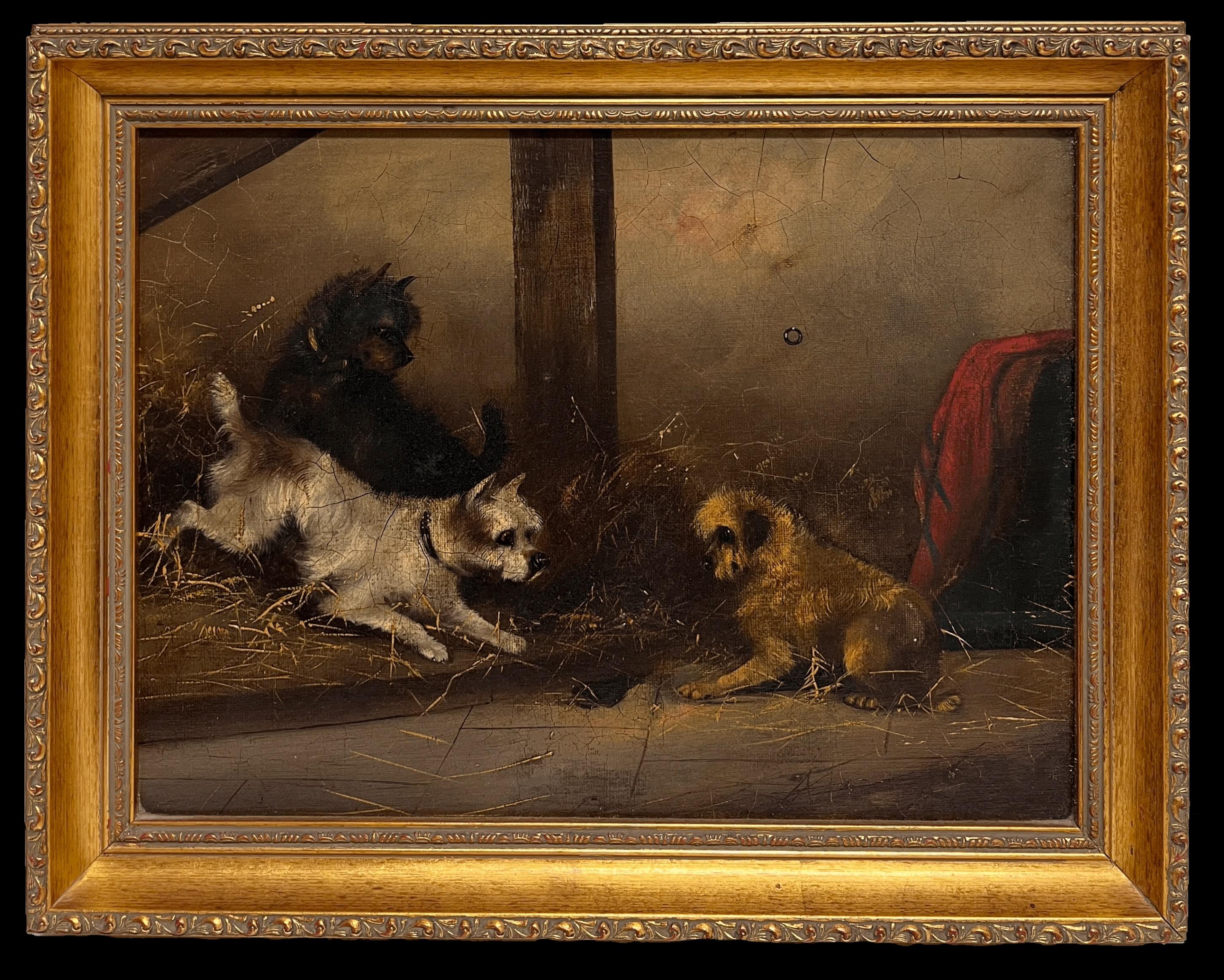 Interior Painting Frank Cassell - Fine Victorian Dog Oil Painting Terriers chasing Rat in Barn Stable Interior (peinture à l'huile de chiens chassant le rat dans une étable)