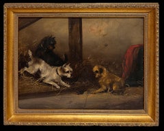 Fine Victorian Dog Oil Painting Terriers chasing Rat in Barn Stable Interior (peinture à l'huile de chiens chassant le rat dans une étable)